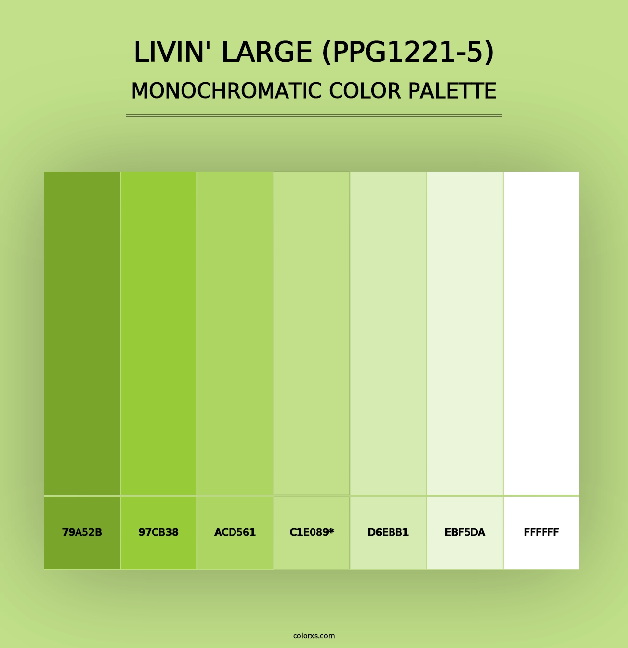 Livin' Large (PPG1221-5) - Monochromatic Color Palette