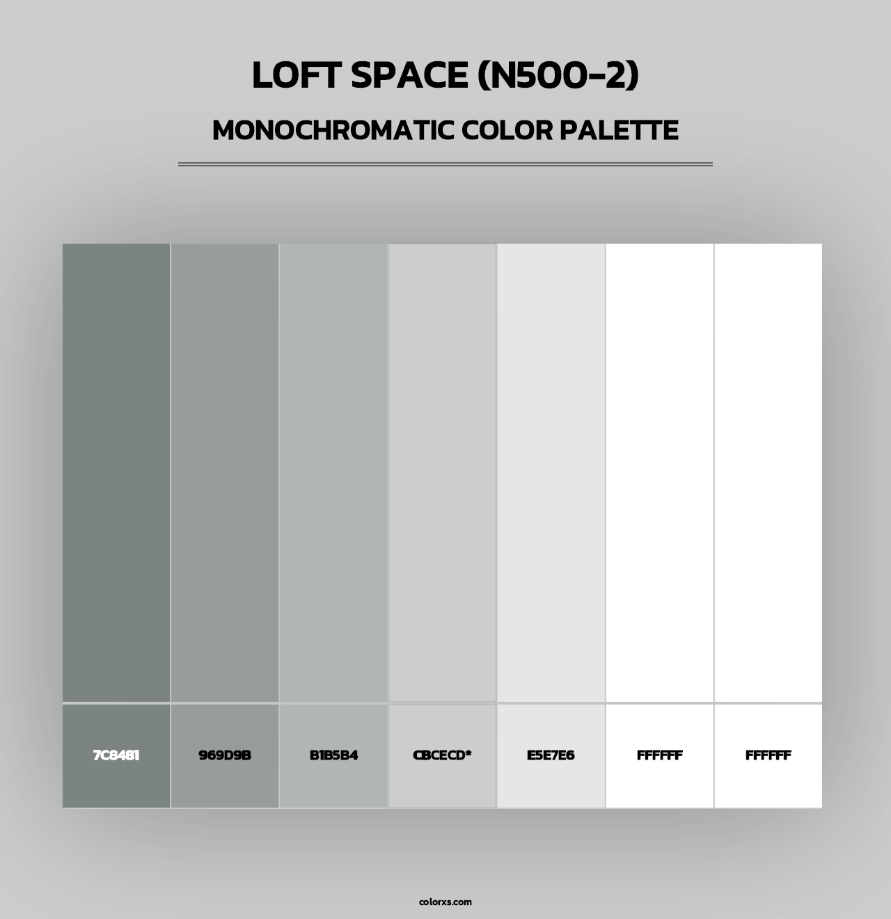 Loft Space (N500-2) - Monochromatic Color Palette