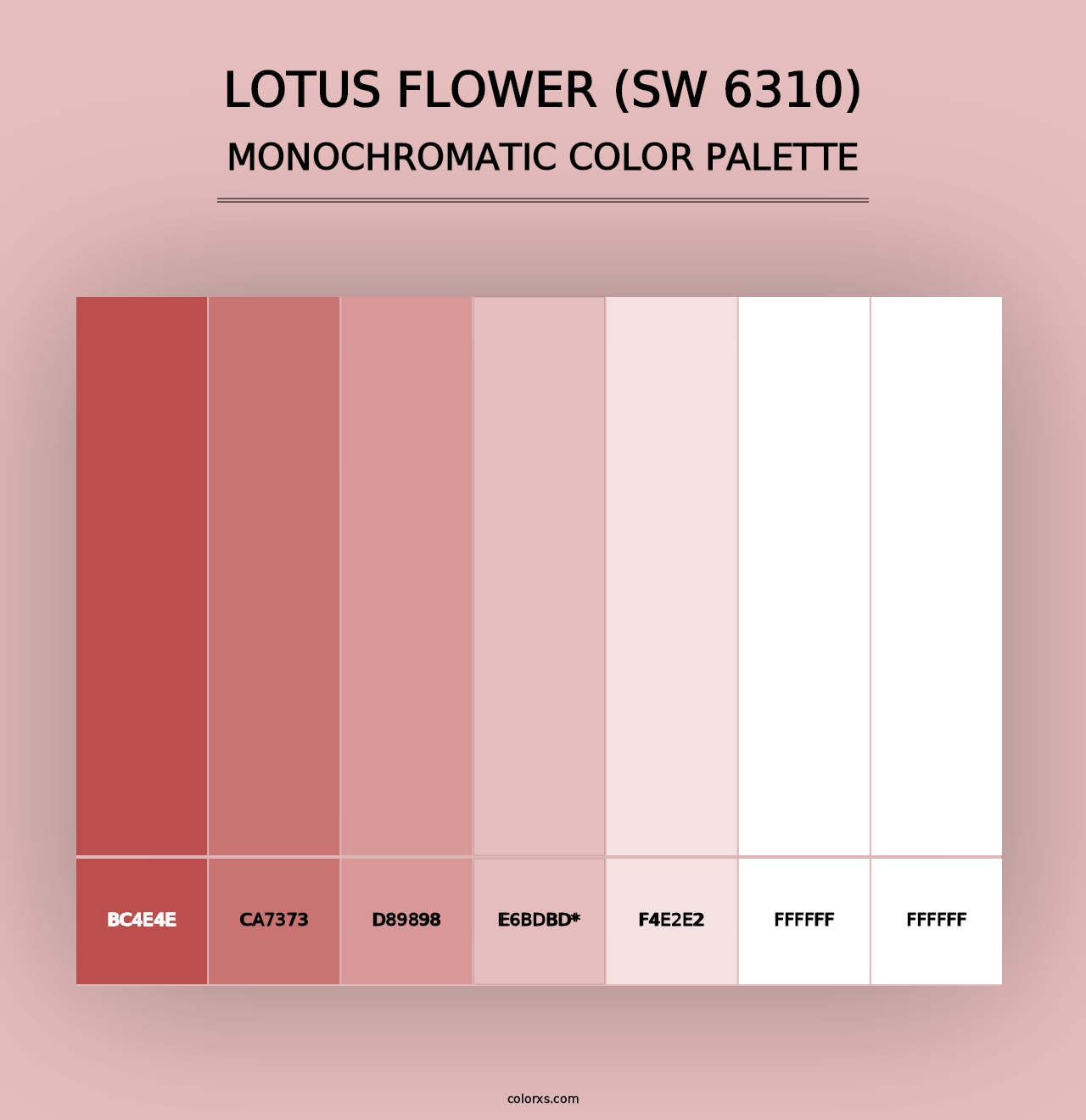 Lotus Flower (SW 6310) - Monochromatic Color Palette