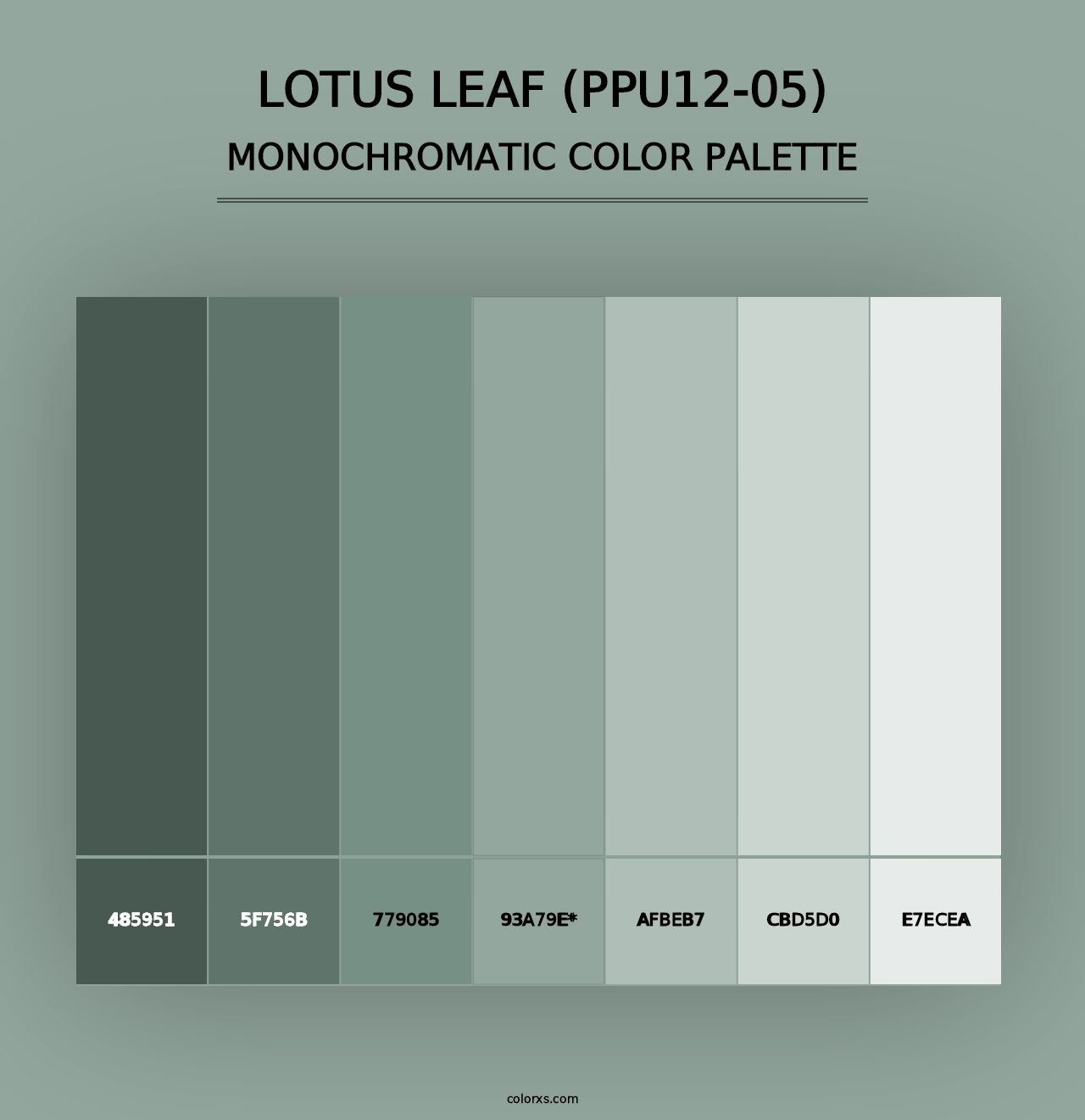 Lotus Leaf (PPU12-05) - Monochromatic Color Palette