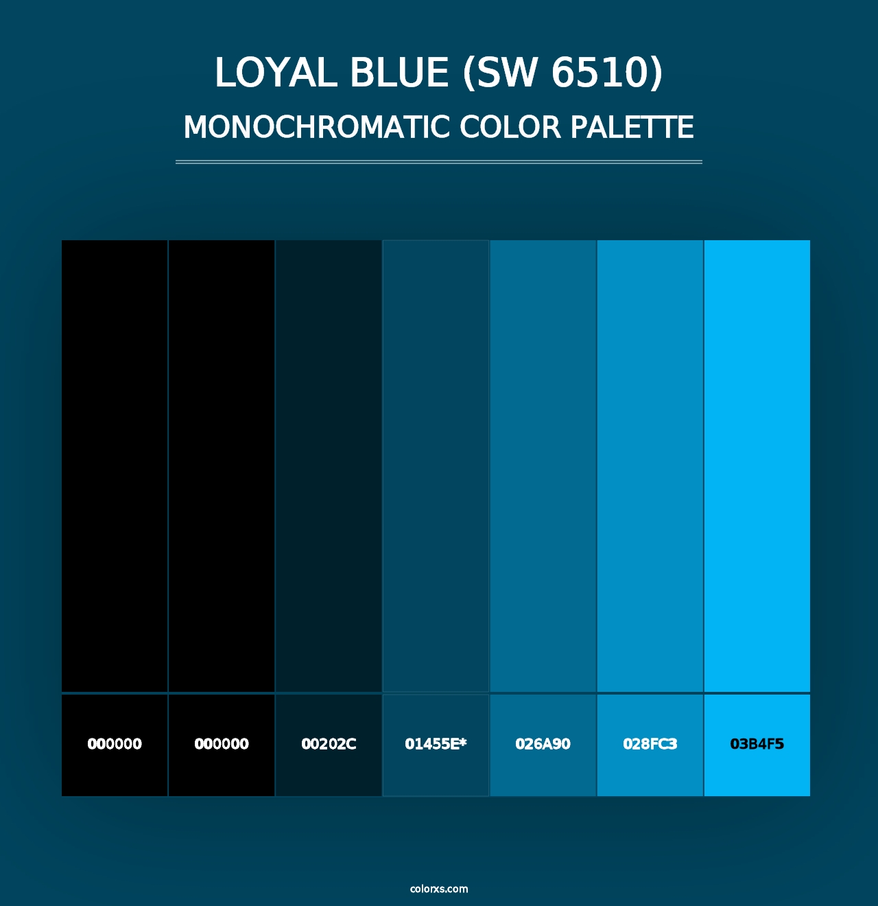 Loyal Blue (SW 6510) - Monochromatic Color Palette