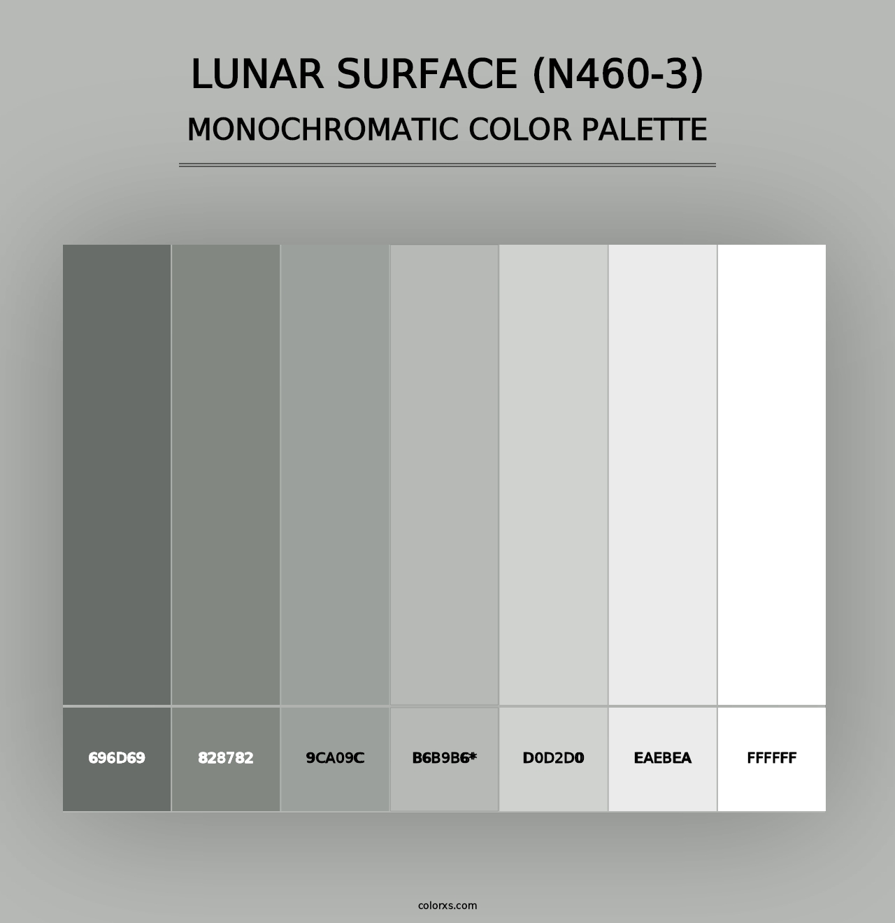 Lunar Surface (N460-3) - Monochromatic Color Palette