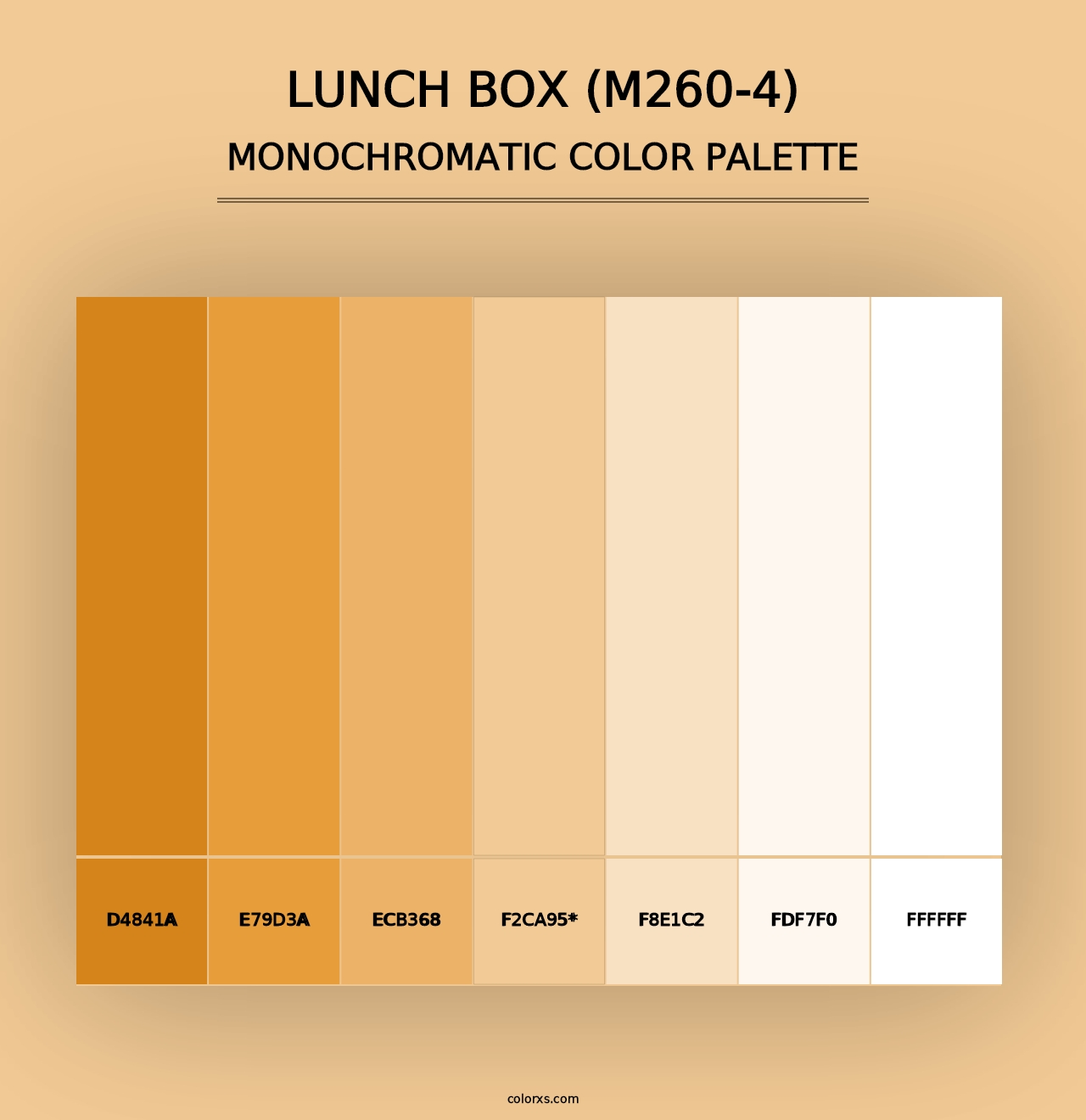 Lunch Box (M260-4) - Monochromatic Color Palette