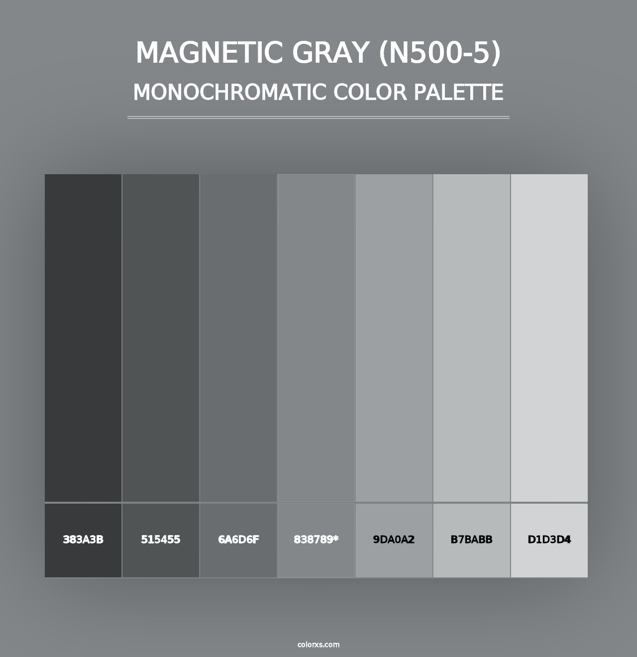 Magnetic Gray (N500-5) - Monochromatic Color Palette