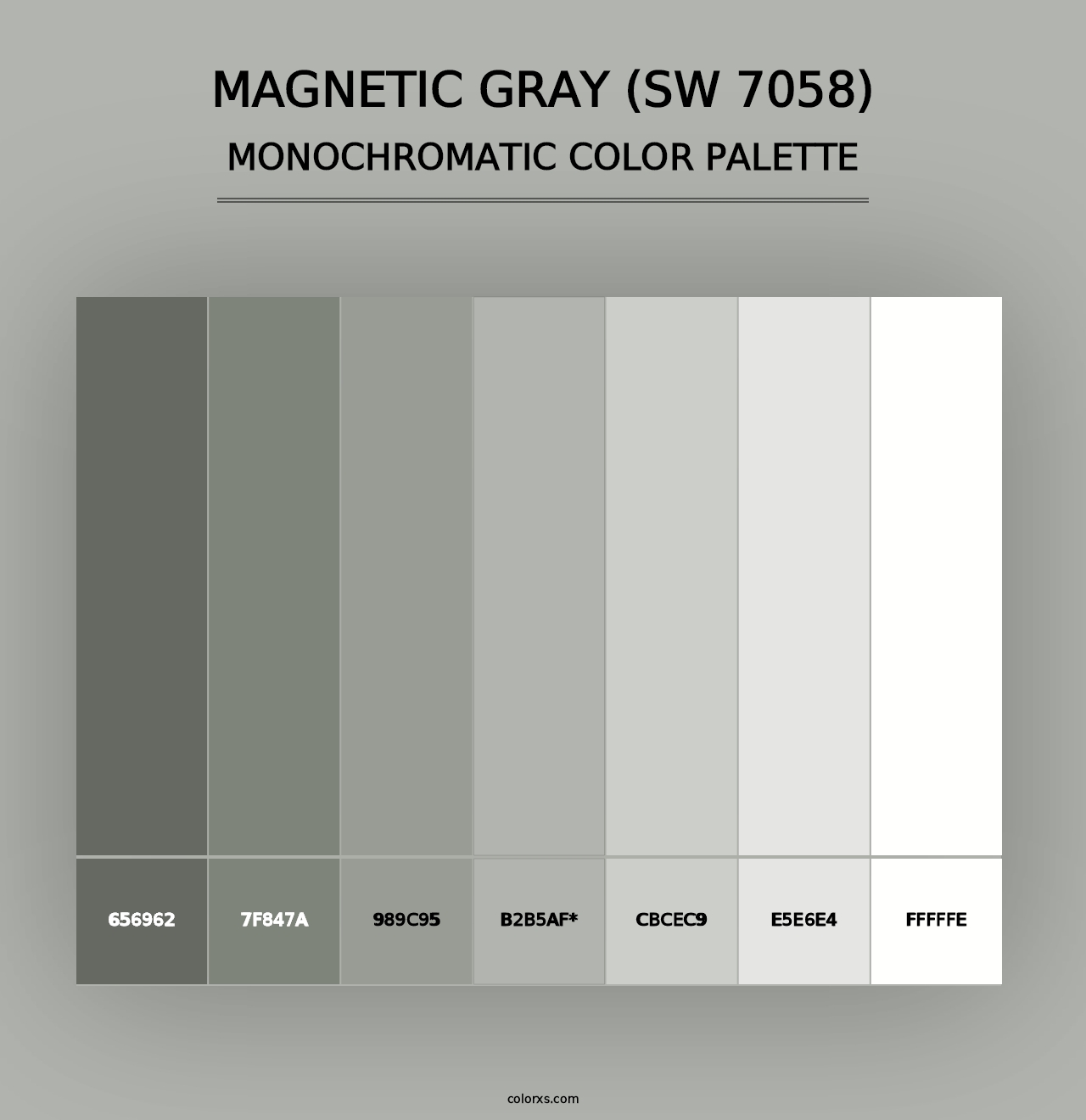 Magnetic Gray (SW 7058) - Monochromatic Color Palette