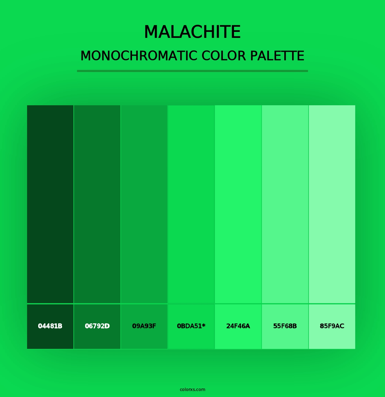 Malachite - Monochromatic Color Palette