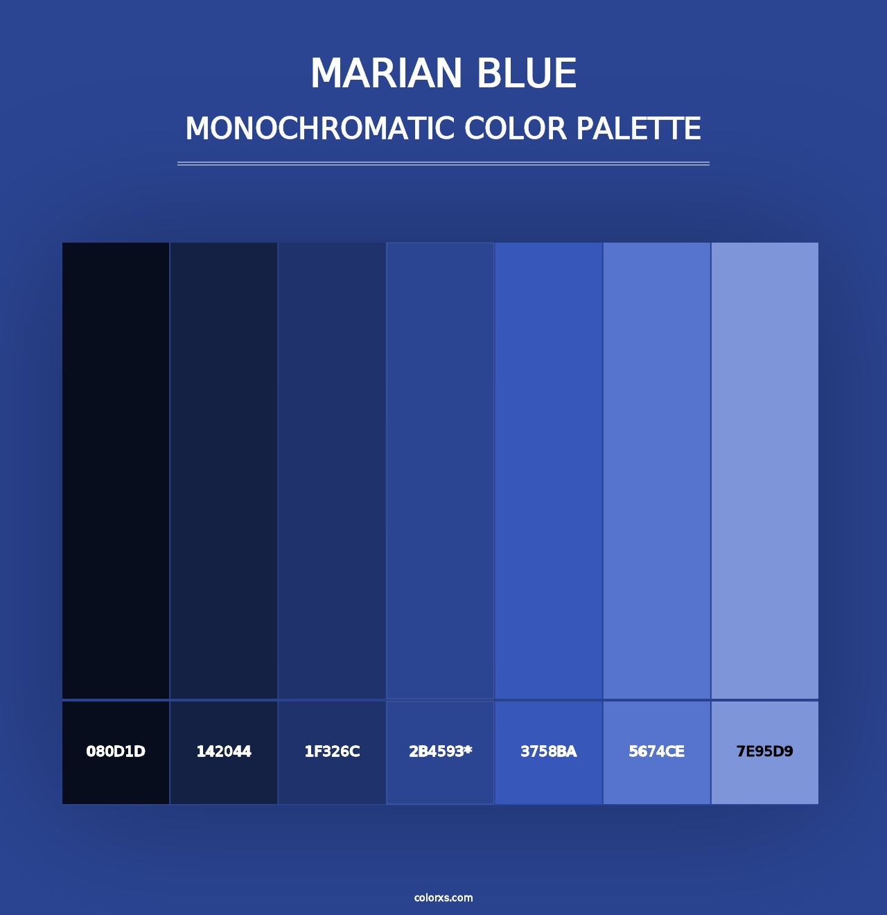 Marian Blue - Monochromatic Color Palette