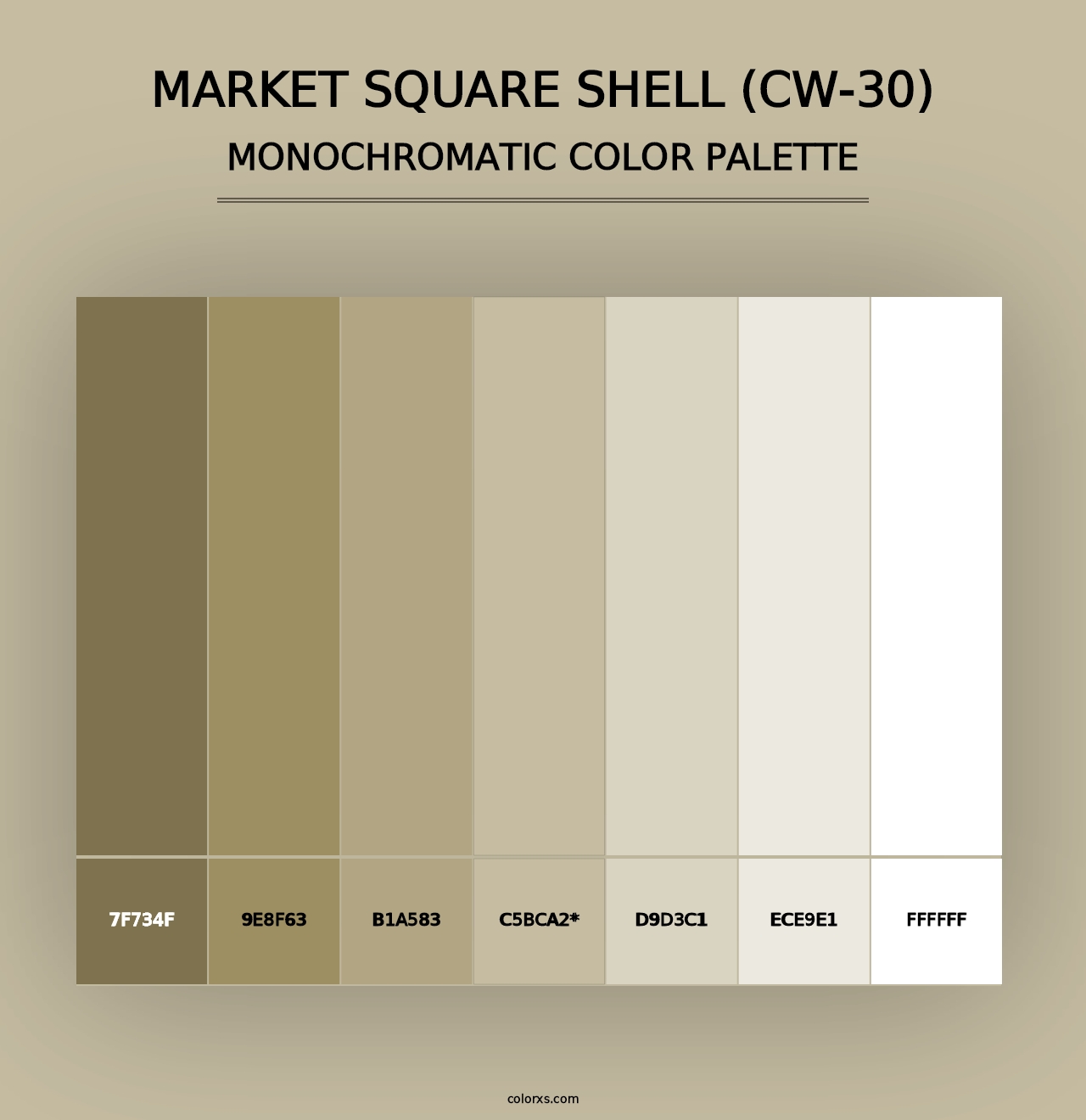 Market Square Shell (CW-30) - Monochromatic Color Palette