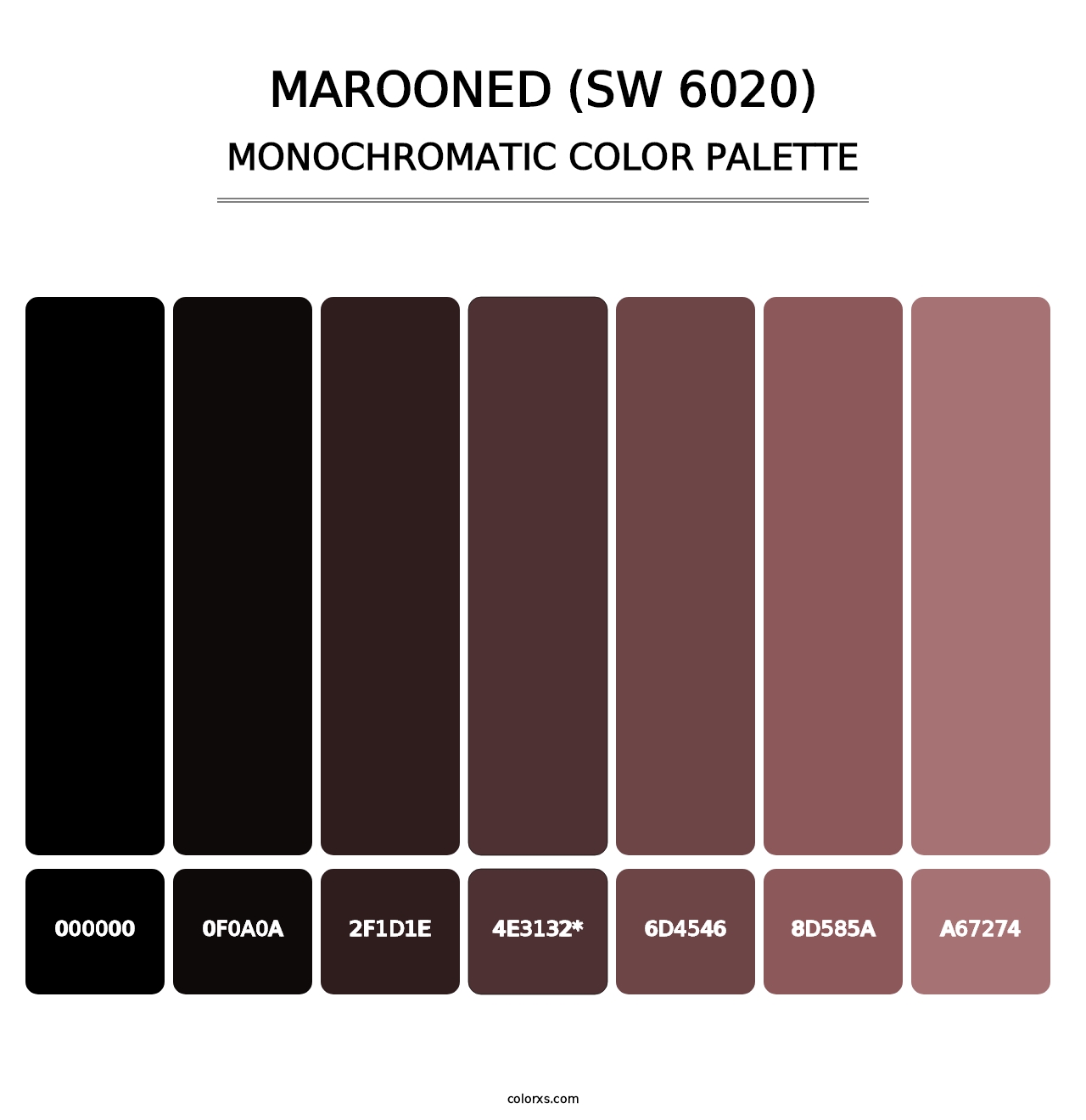 Marooned (SW 6020) - Monochromatic Color Palette