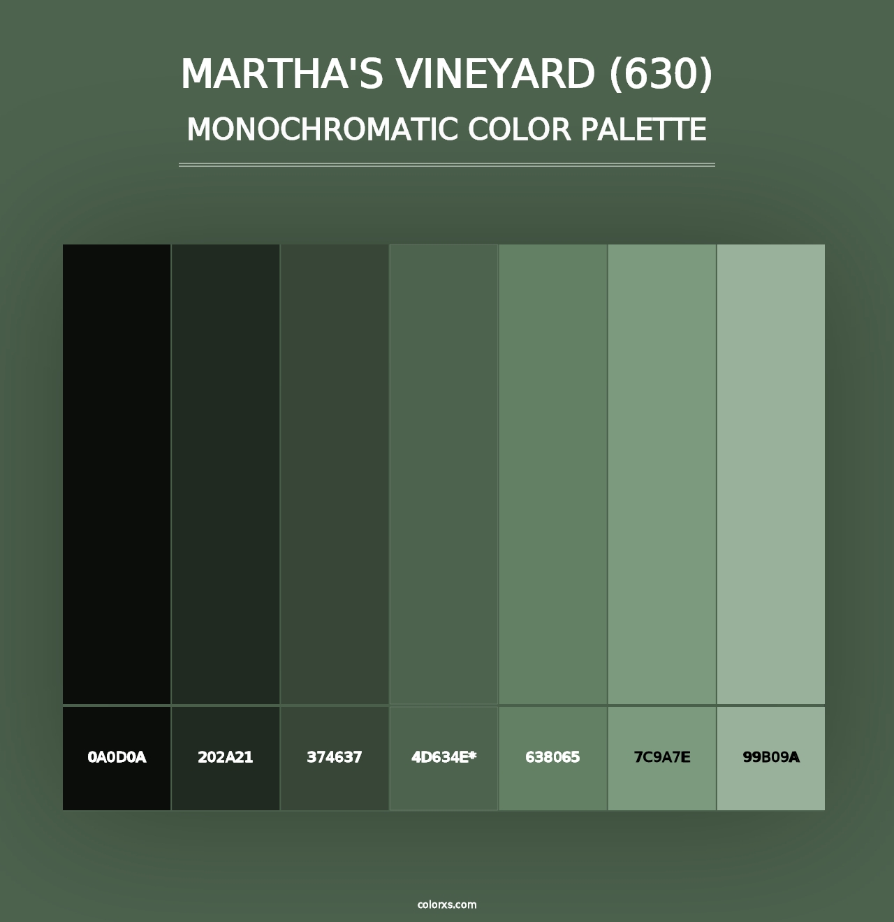 Martha's Vineyard (630) - Monochromatic Color Palette