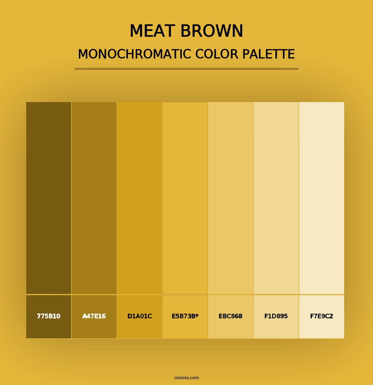 Meat brown - Monochromatic Color Palette