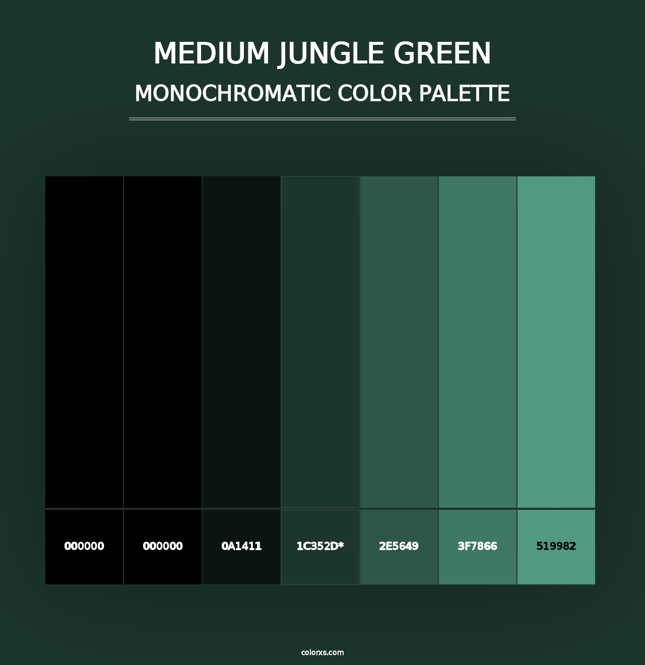 Medium Jungle Green - Monochromatic Color Palette