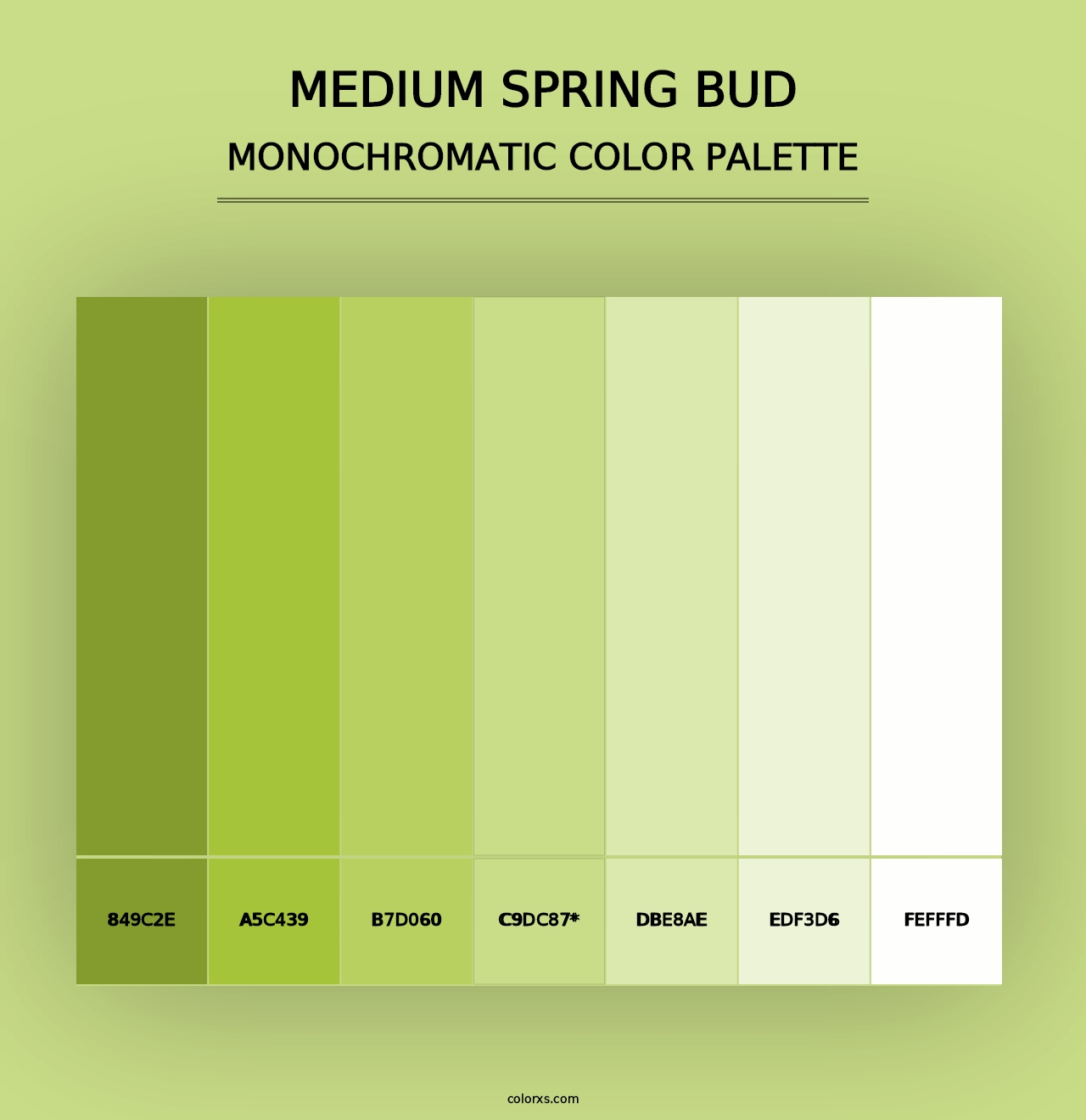 Medium Spring Bud - Monochromatic Color Palette