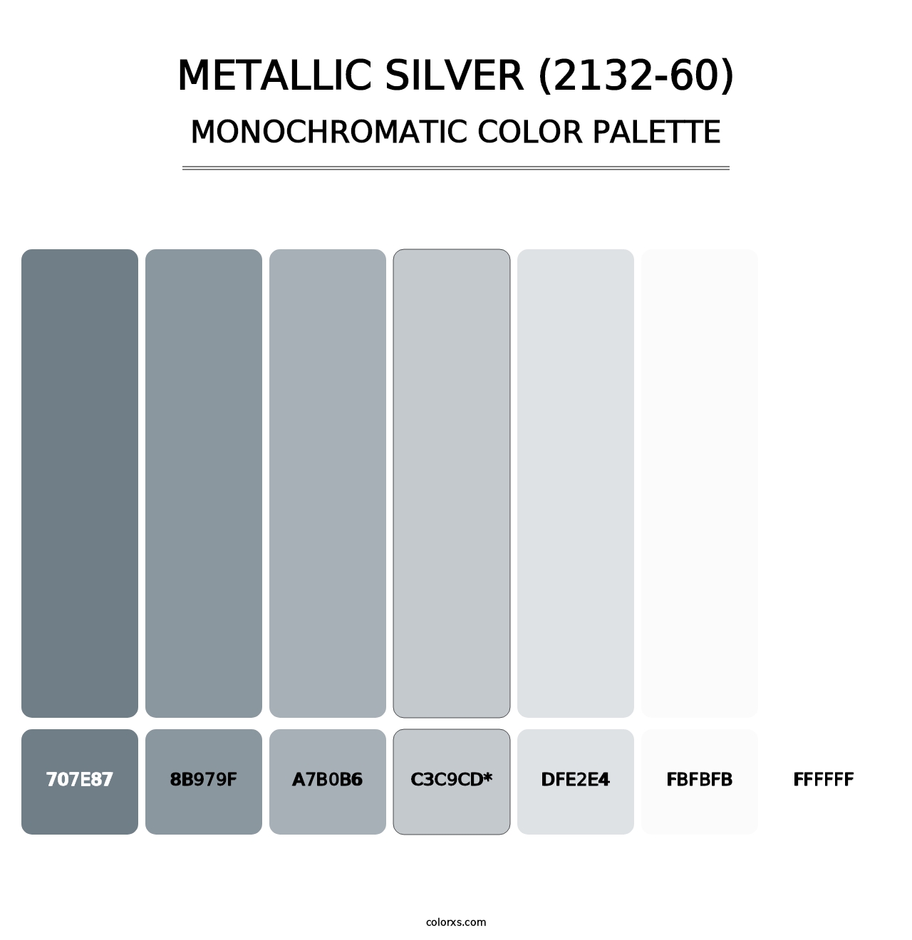 Metallic Silver (2132-60) - Monochromatic Color Palette
