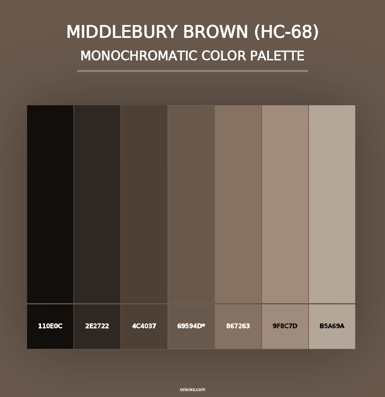 Middlebury Brown (HC-68) - Monochromatic Color Palette