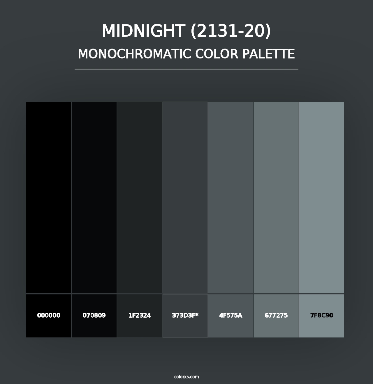 Midnight (2131-20) - Monochromatic Color Palette