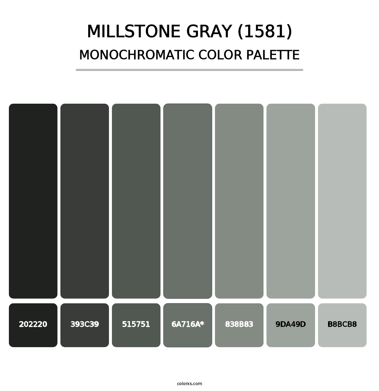 Millstone Gray (1581) - Monochromatic Color Palette