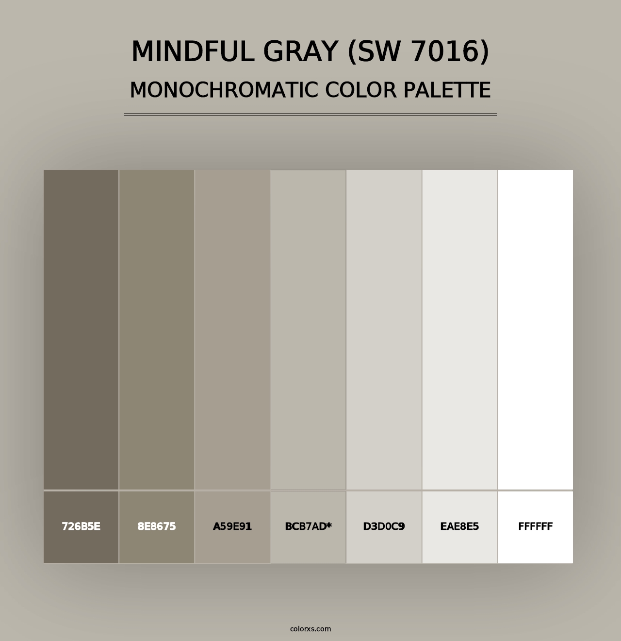 Mindful Gray (SW 7016) - Monochromatic Color Palette