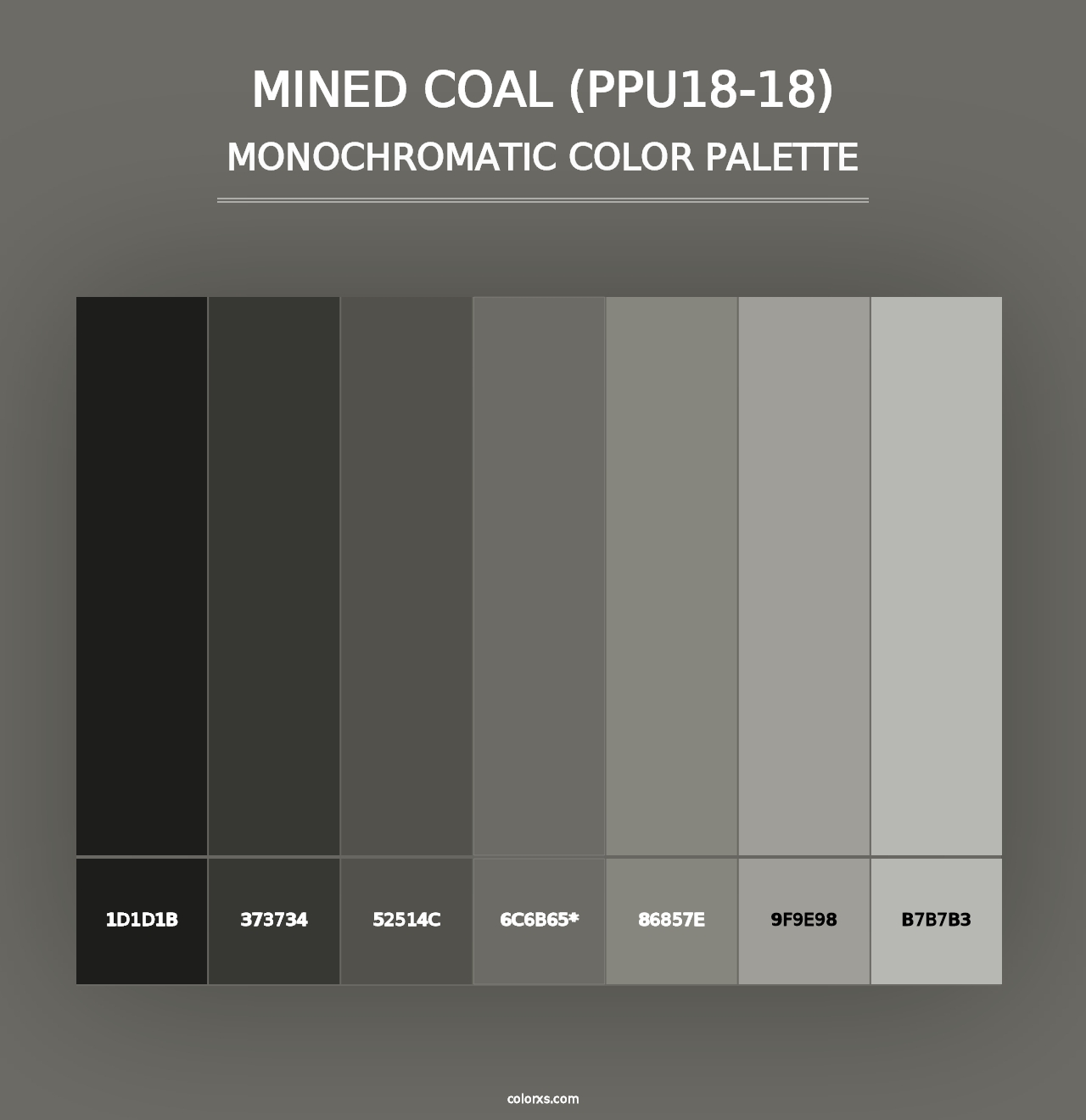 Mined Coal (PPU18-18) - Monochromatic Color Palette