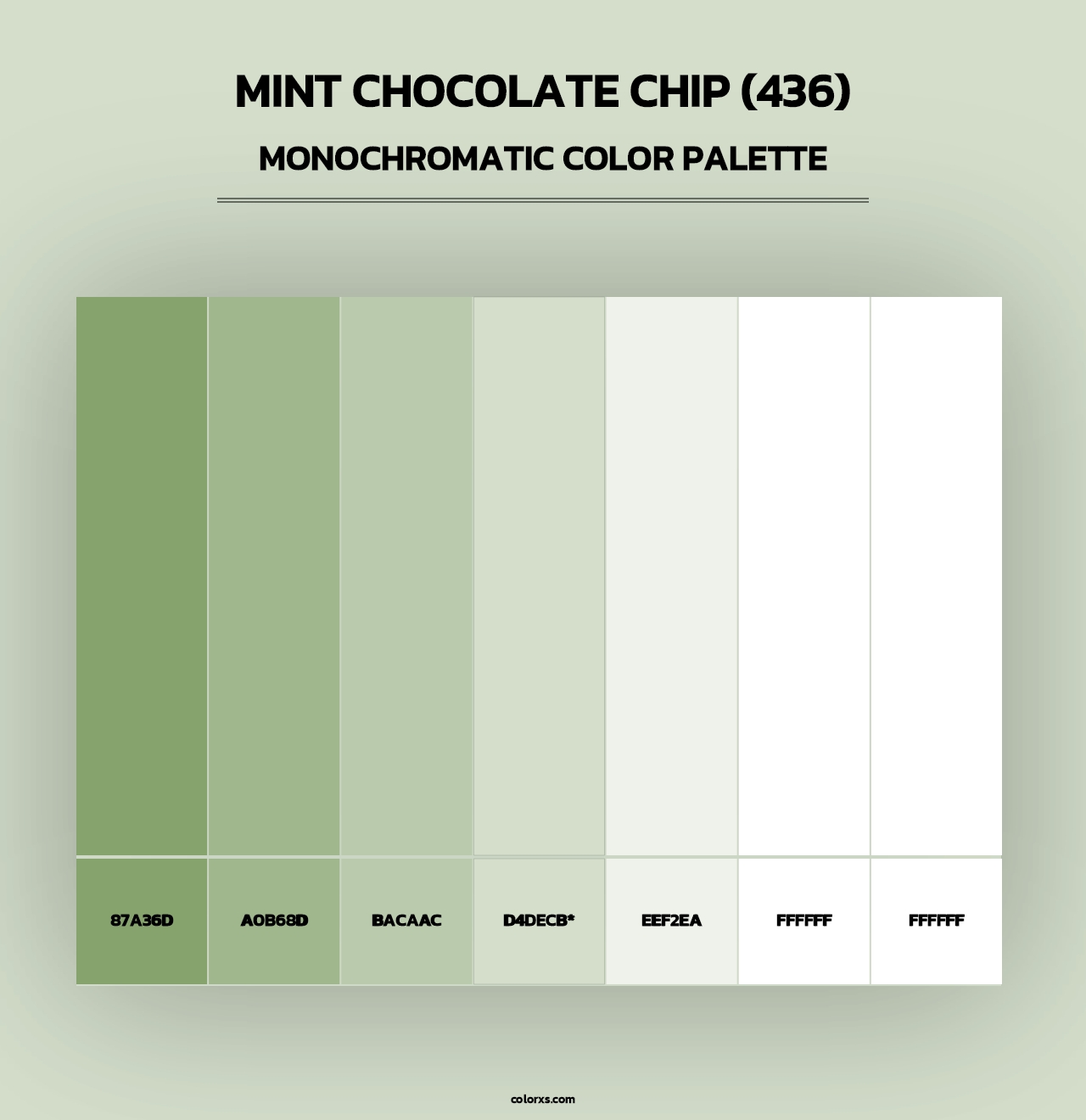 Mint Chocolate Chip (436) - Monochromatic Color Palette