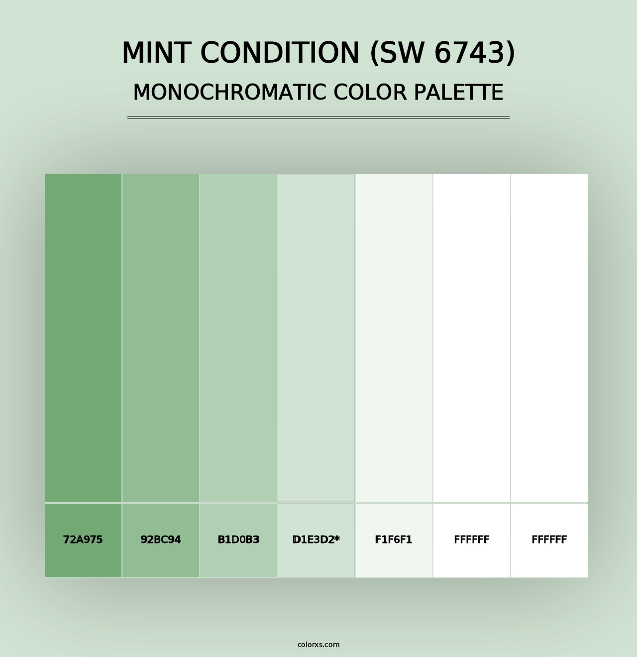 Mint Condition (SW 6743) - Monochromatic Color Palette