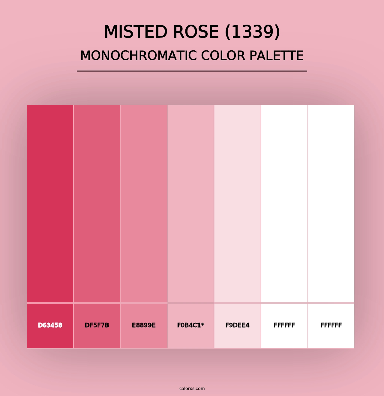 Misted Rose (1339) - Monochromatic Color Palette