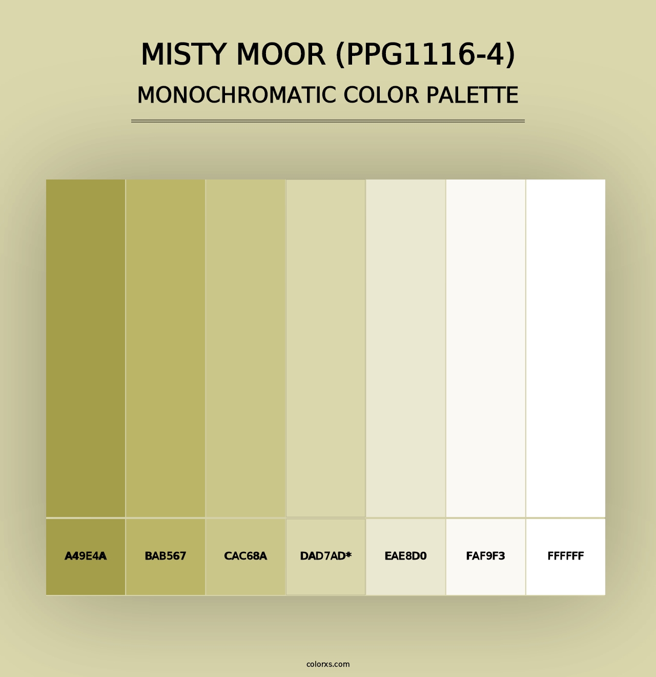 Misty Moor (PPG1116-4) - Monochromatic Color Palette