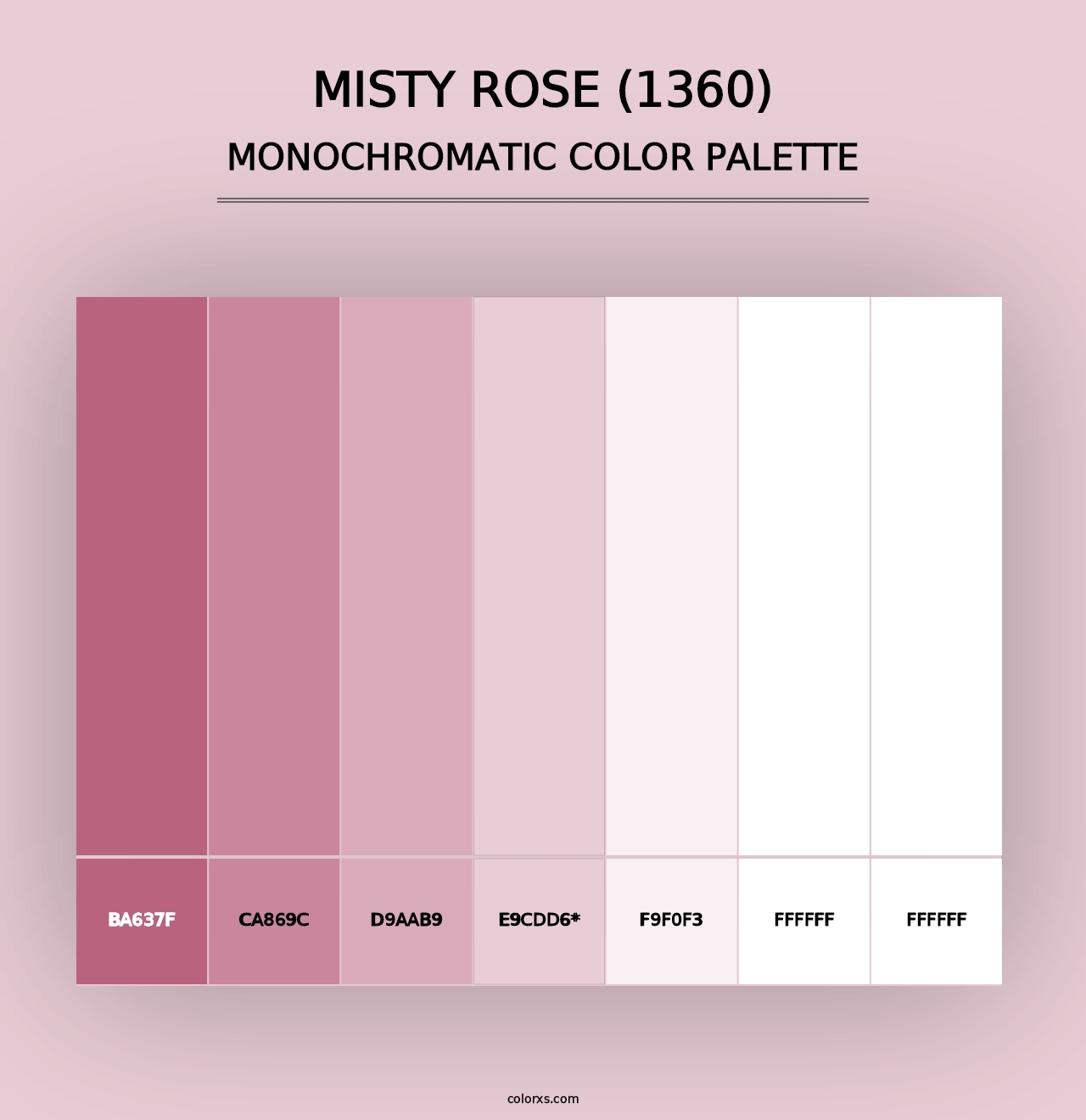 Misty Rose (1360) - Monochromatic Color Palette