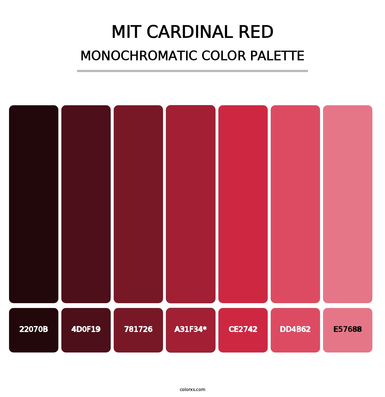 MIT Cardinal Red - Monochromatic Color Palette