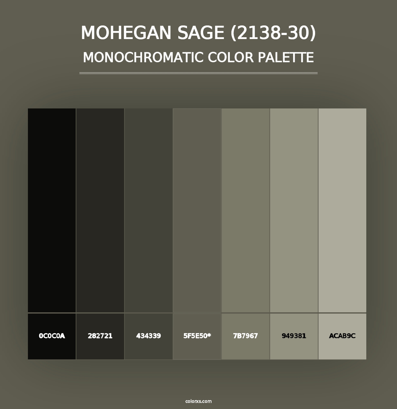 Mohegan Sage (2138-30) - Monochromatic Color Palette