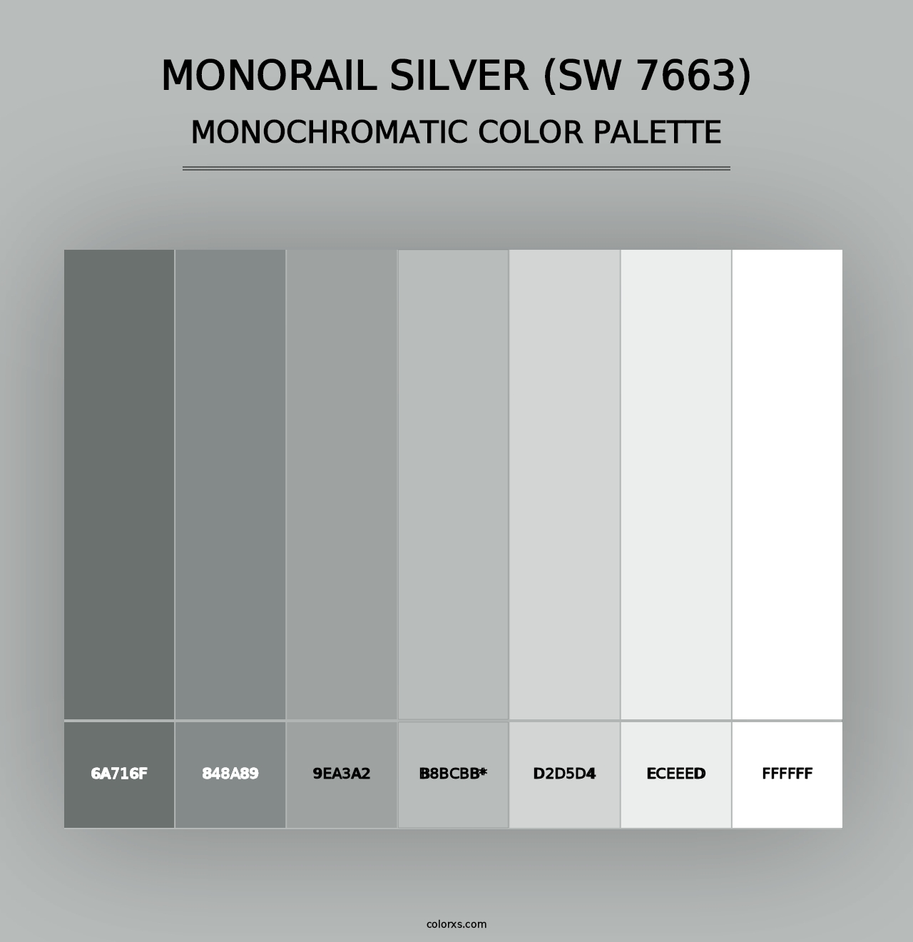 Monorail Silver (SW 7663) - Monochromatic Color Palette