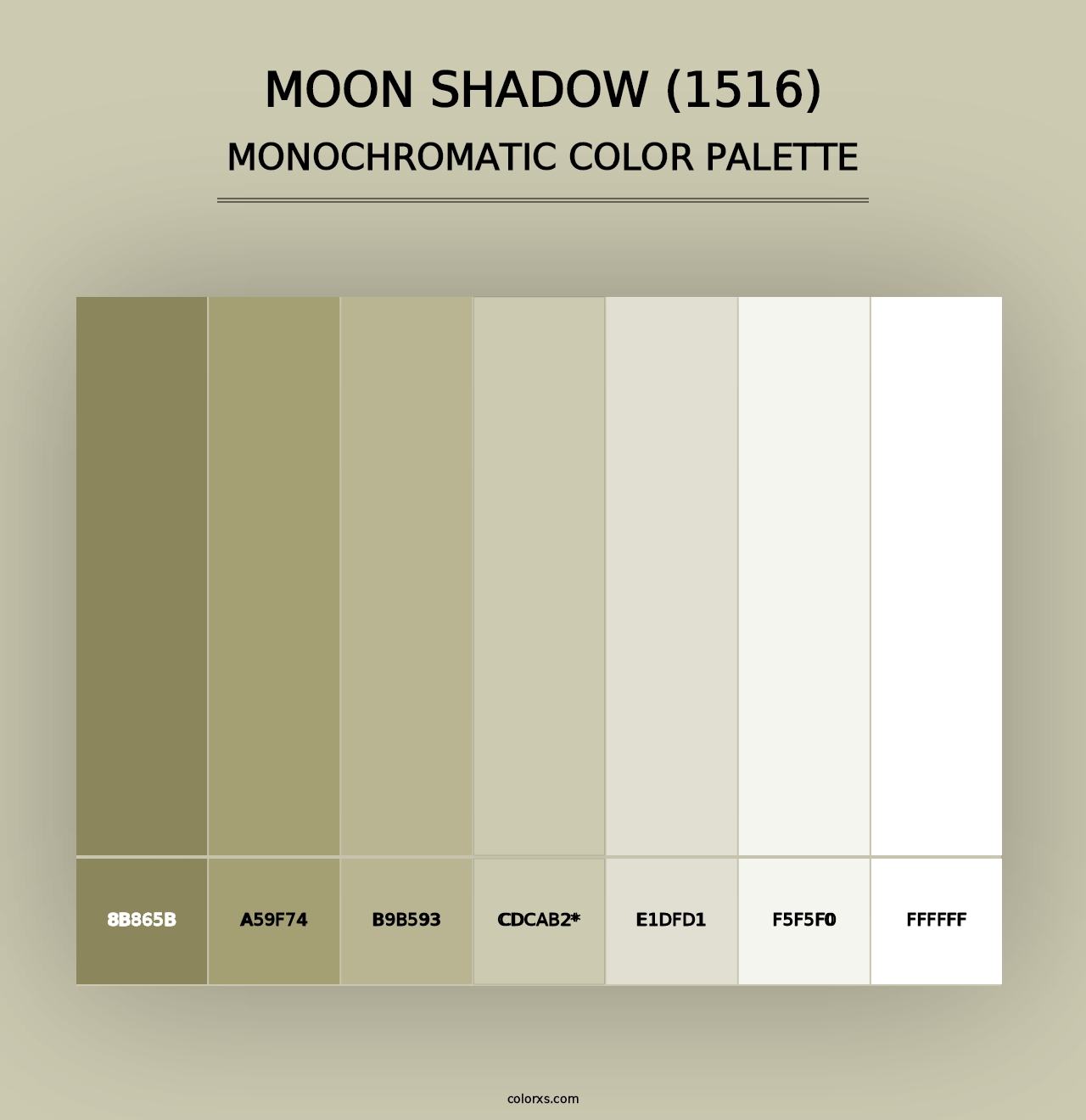 Moon Shadow (1516) - Monochromatic Color Palette