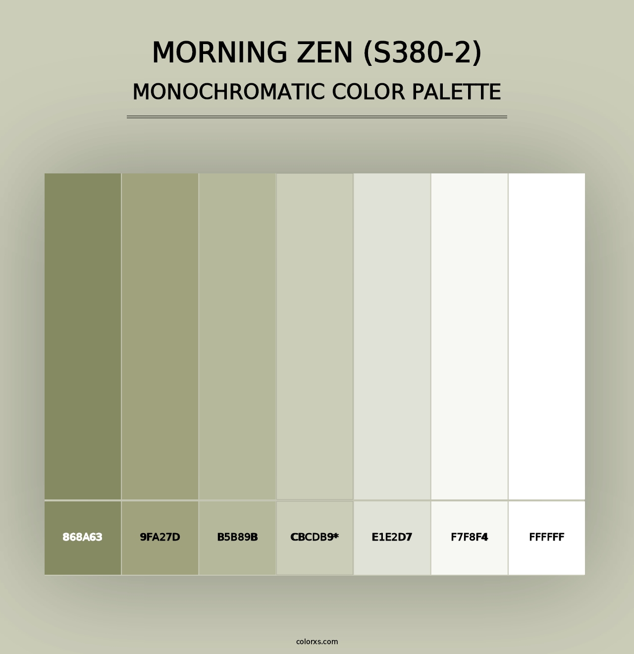 Morning Zen (S380-2) - Monochromatic Color Palette