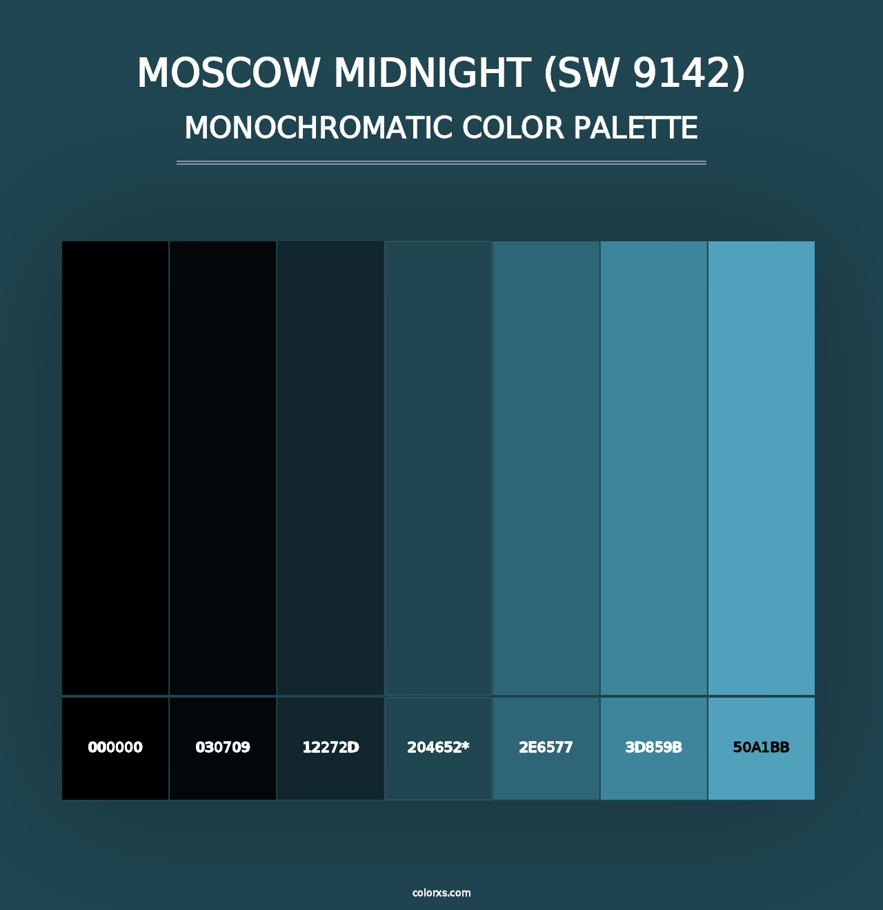 Moscow Midnight (SW 9142) - Monochromatic Color Palette