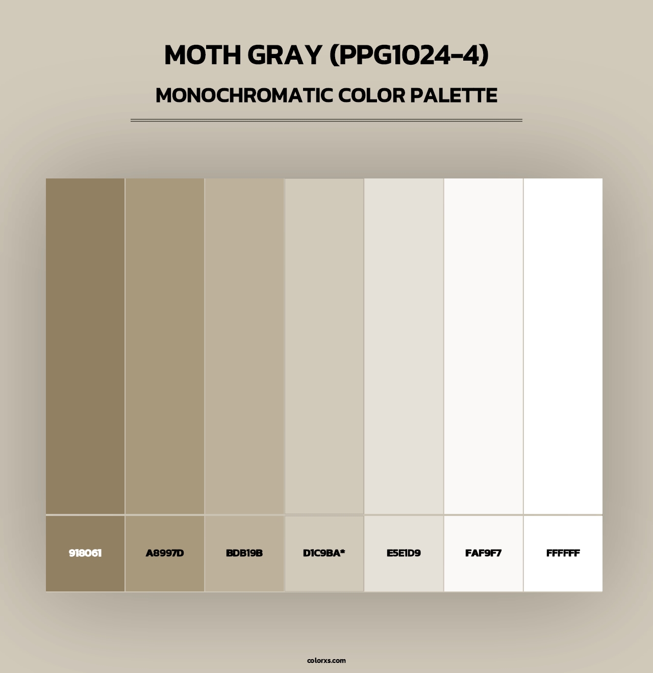 Moth Gray (PPG1024-4) - Monochromatic Color Palette