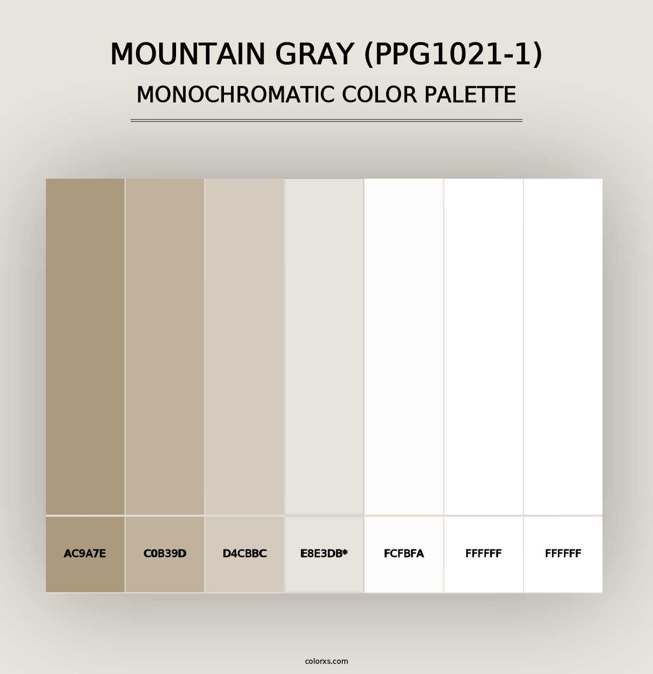 Mountain Gray (PPG1021-1) - Monochromatic Color Palette