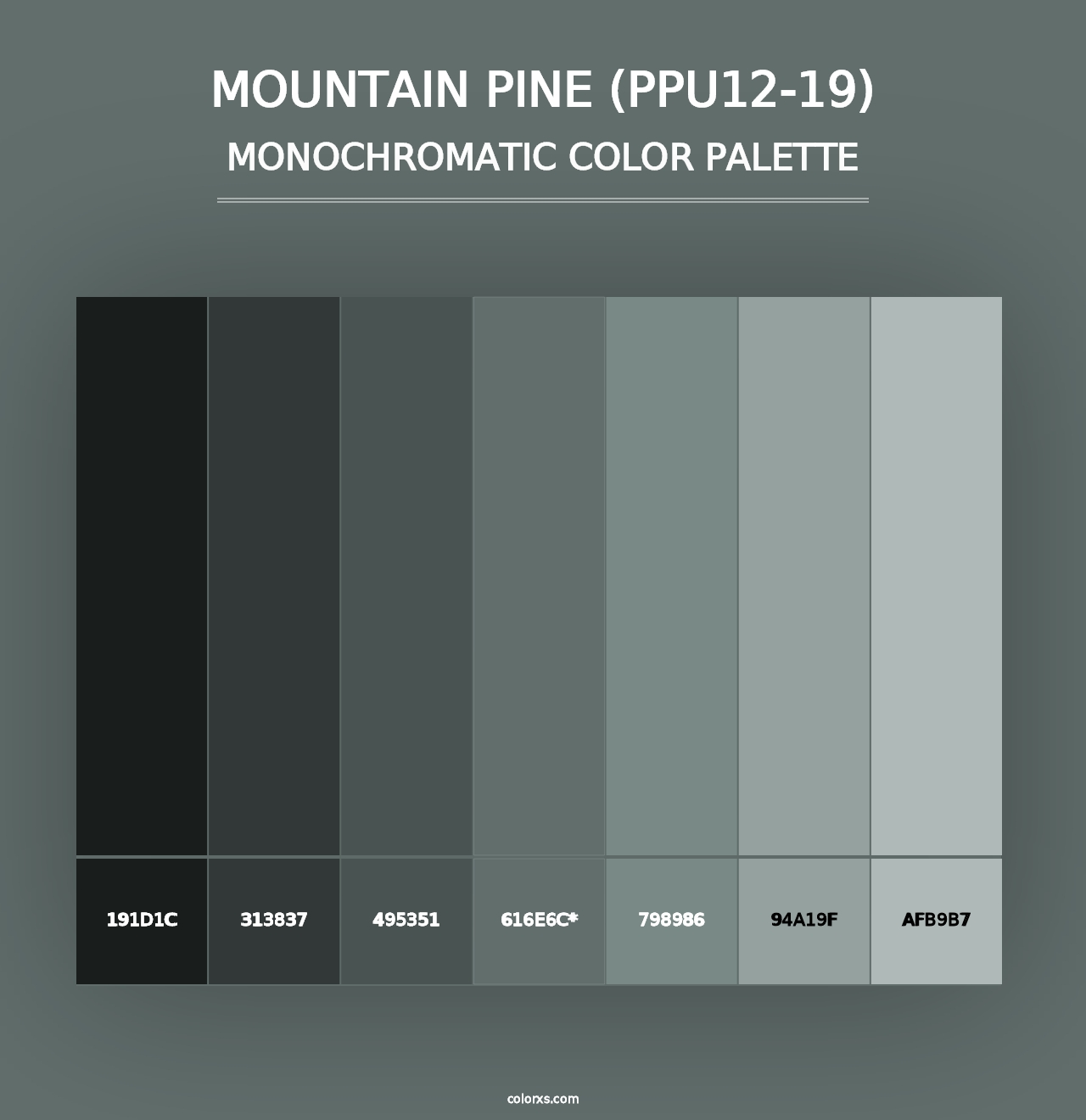 Mountain Pine (PPU12-19) - Monochromatic Color Palette