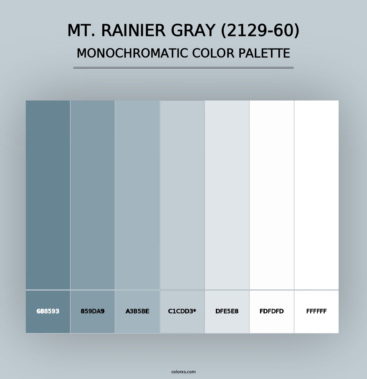 Mt. Rainier Gray (2129-60) - Monochromatic Color Palette