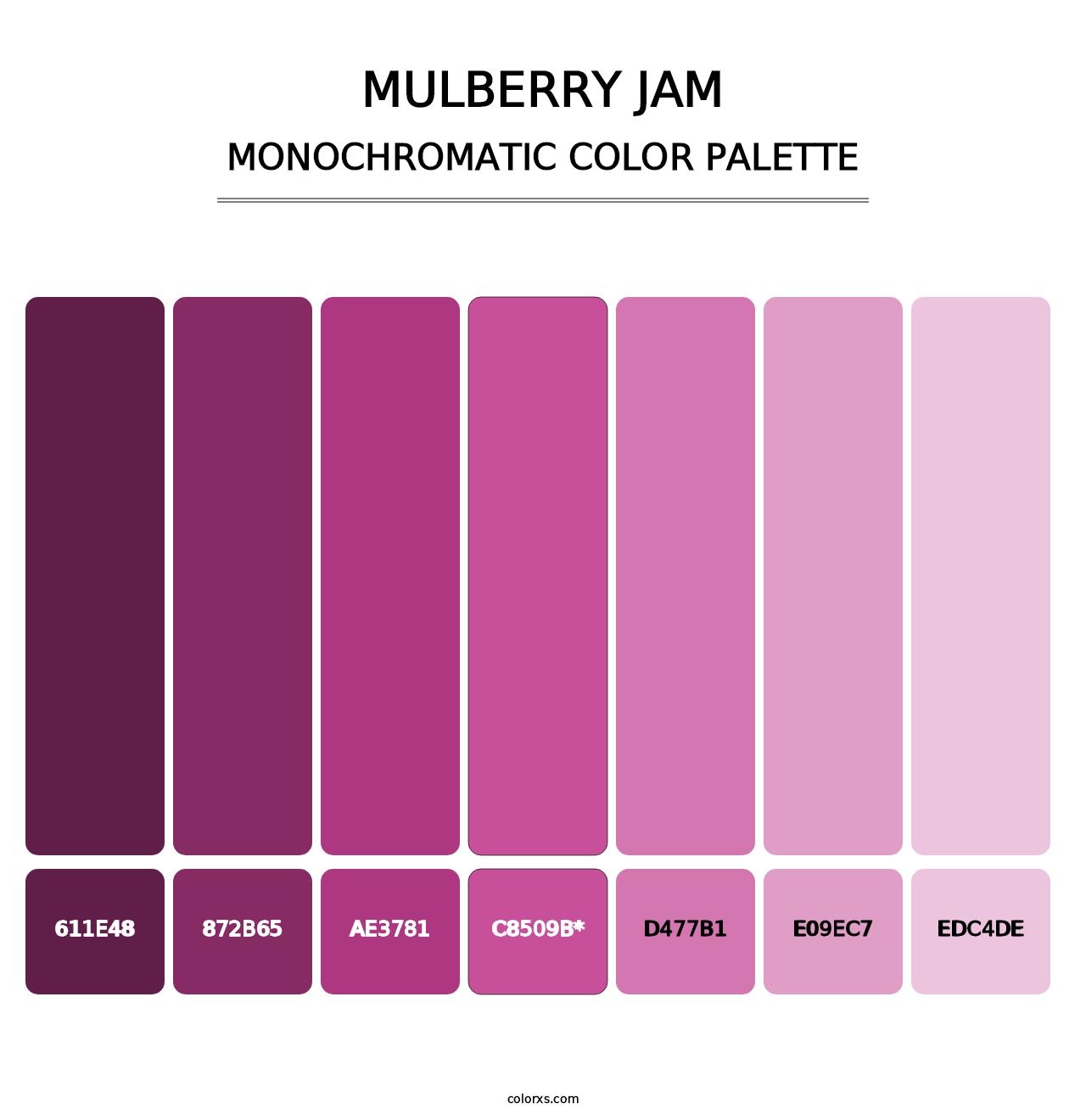 Mulberry Jam - Monochromatic Color Palette