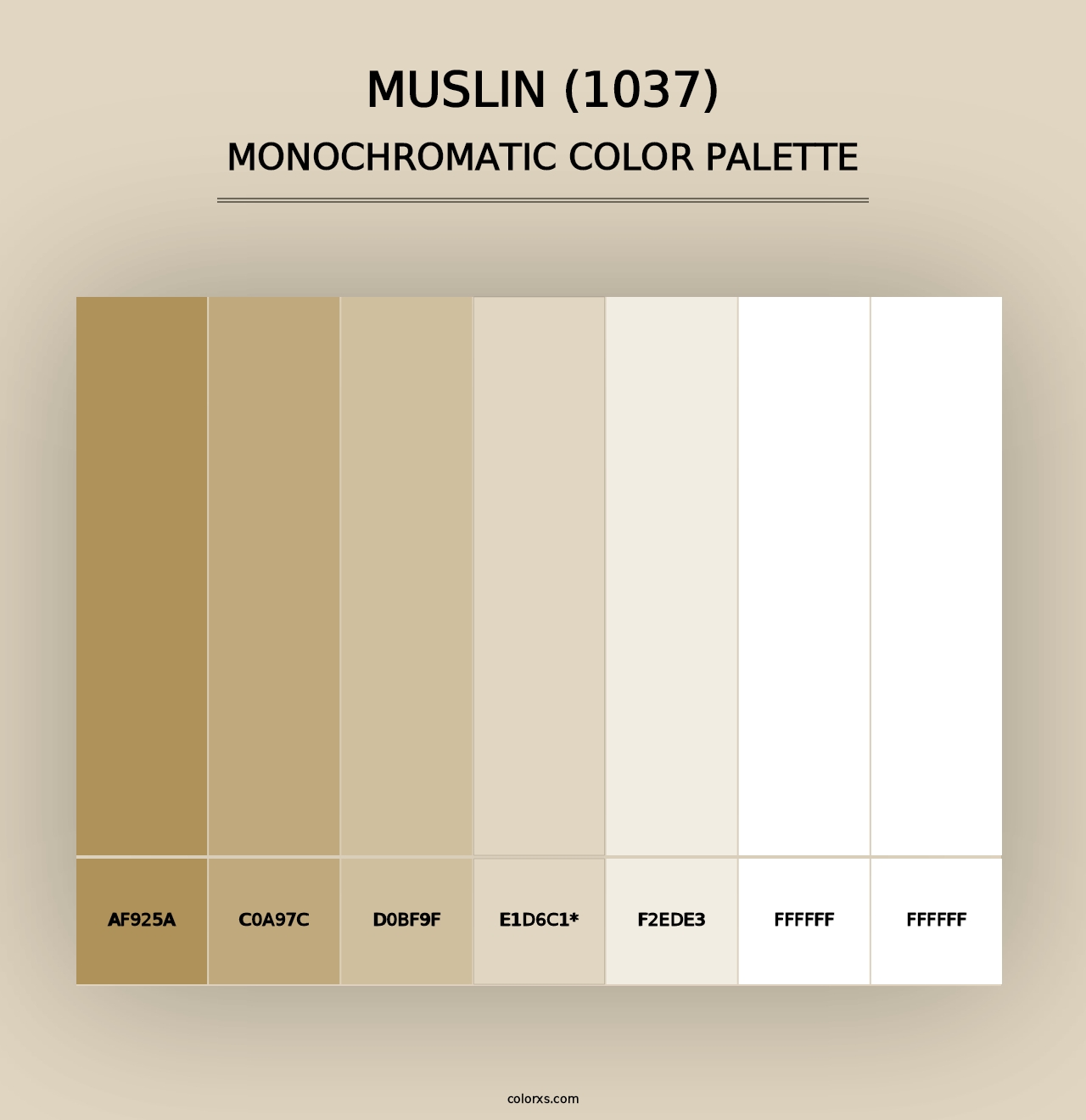 Muslin (1037) - Monochromatic Color Palette