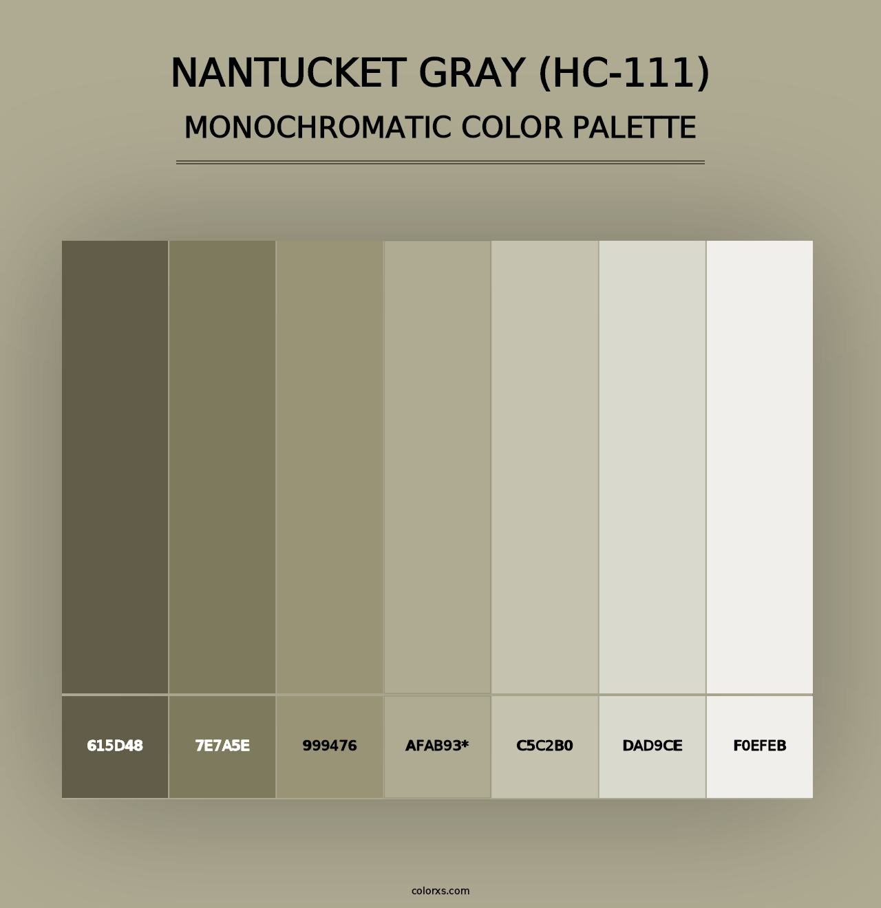 Nantucket Gray (HC-111) - Monochromatic Color Palette