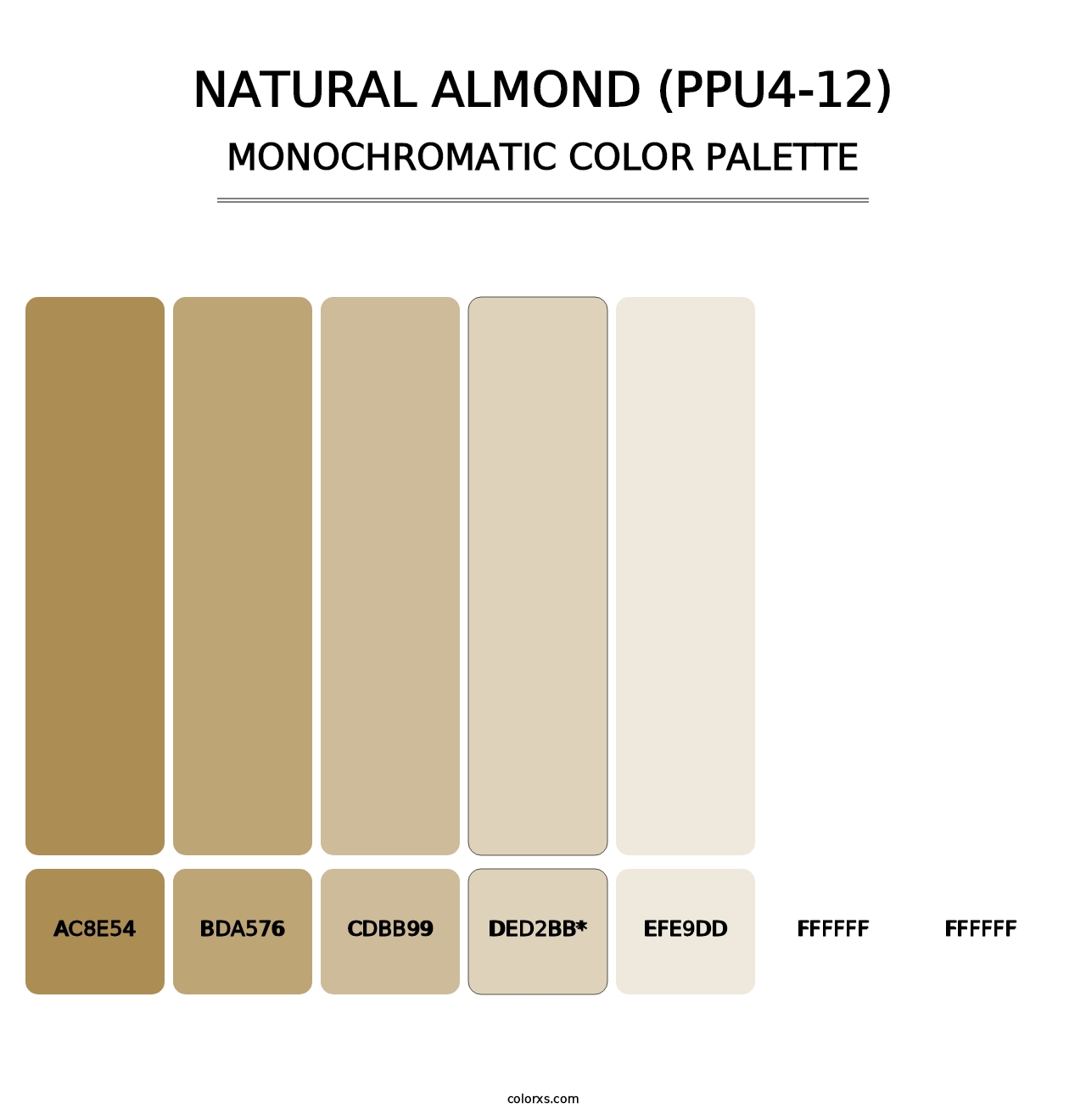 Natural Almond (PPU4-12) - Monochromatic Color Palette