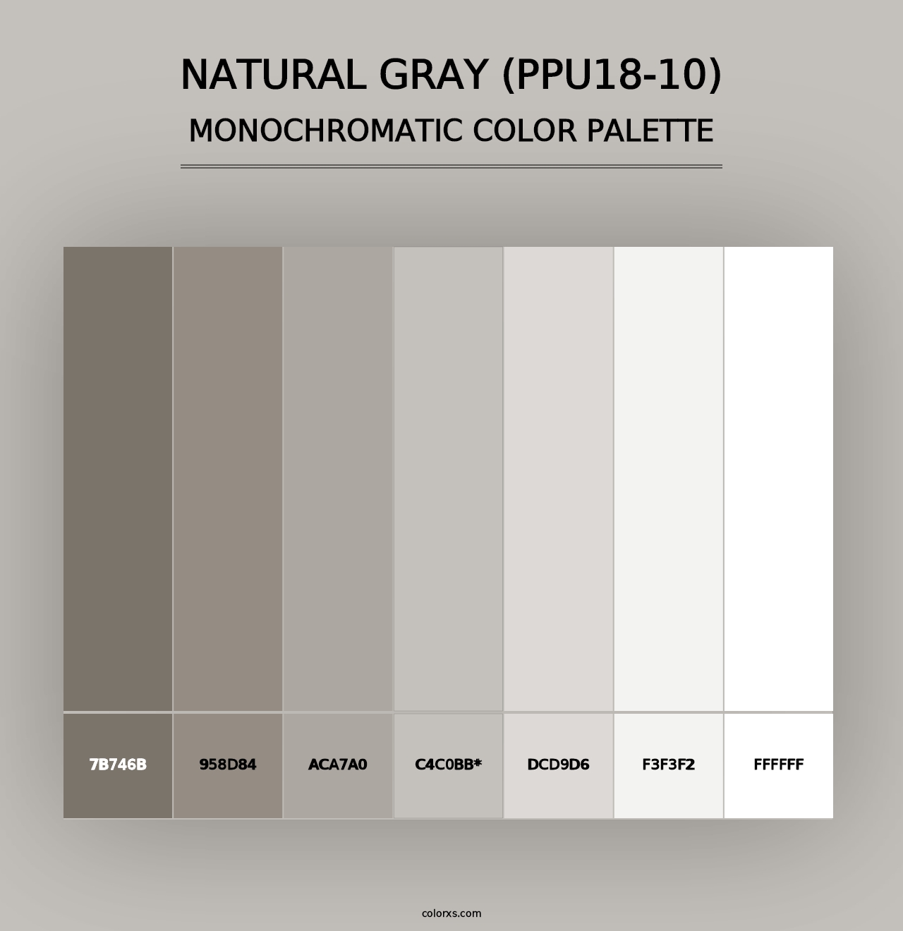 Natural Gray (PPU18-10) - Monochromatic Color Palette