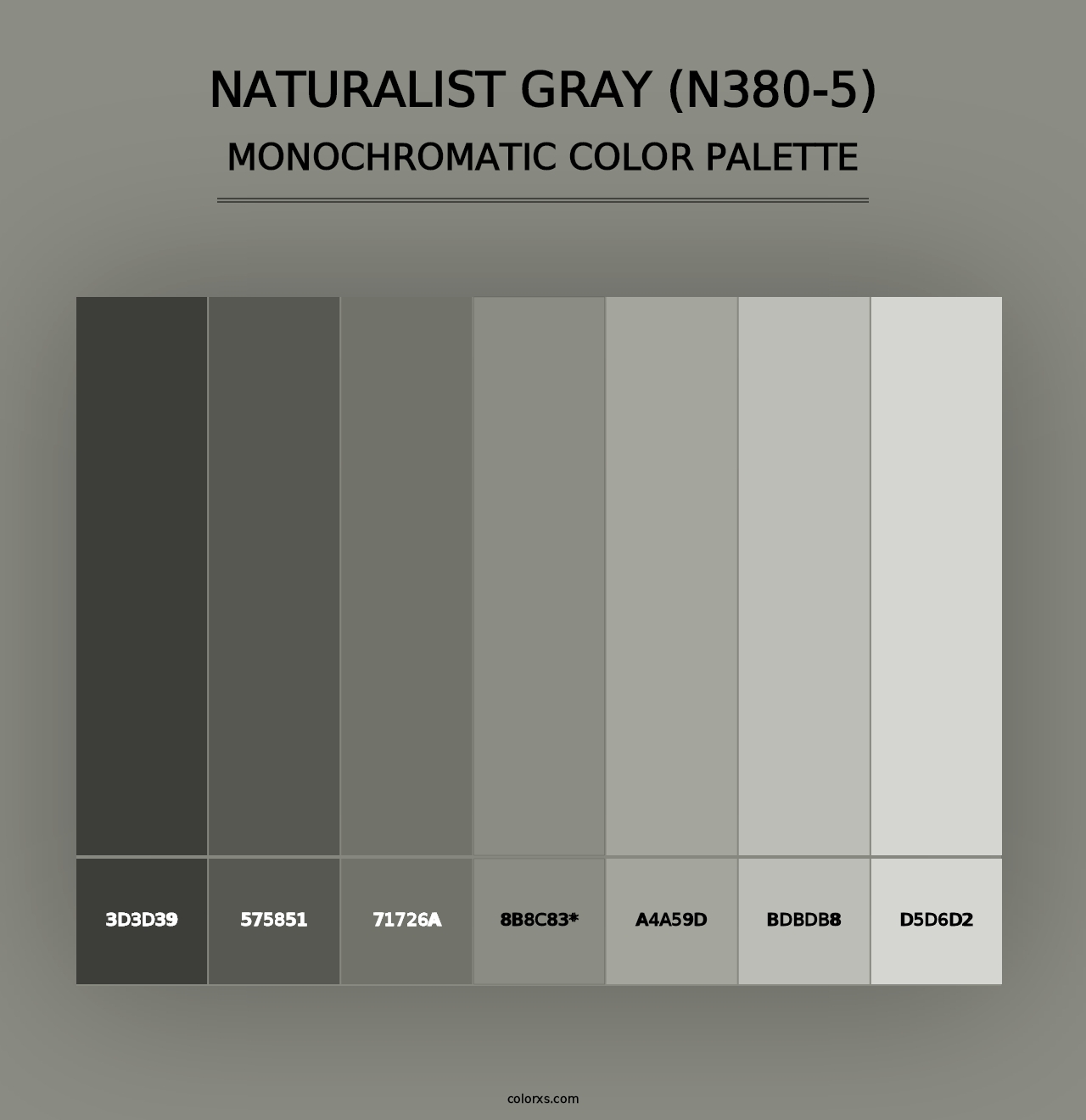 Naturalist Gray (N380-5) - Monochromatic Color Palette