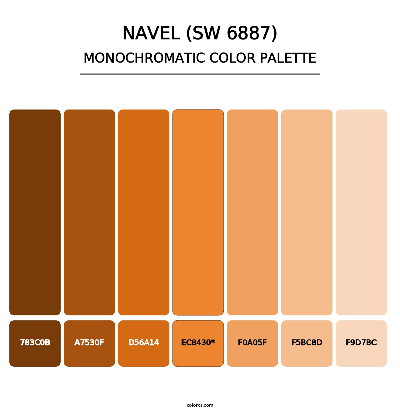 Navel (SW 6887) - Monochromatic Color Palette