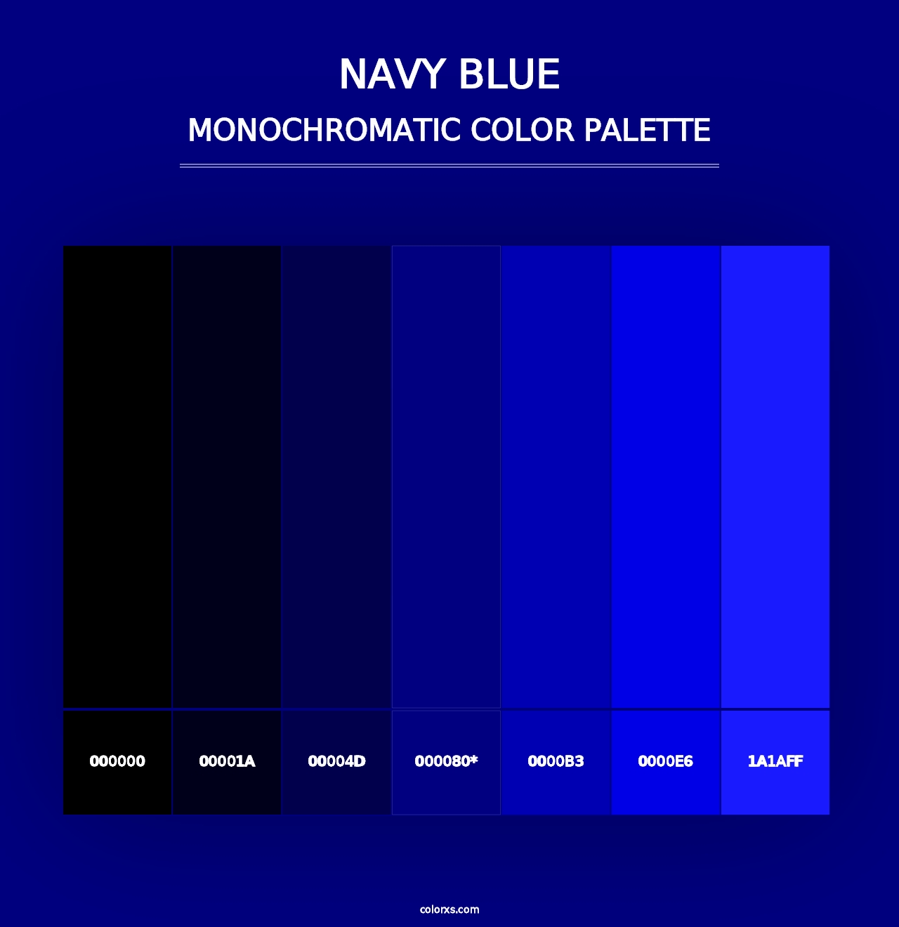 Navy Blue - Monochromatic Color Palette