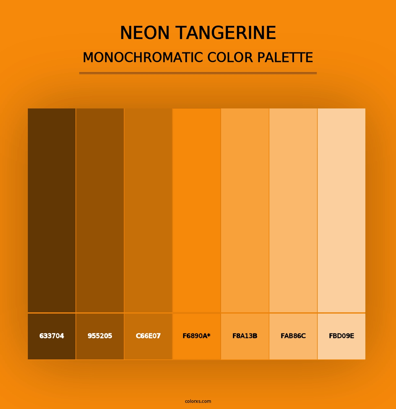 Neon Tangerine - Monochromatic Color Palette