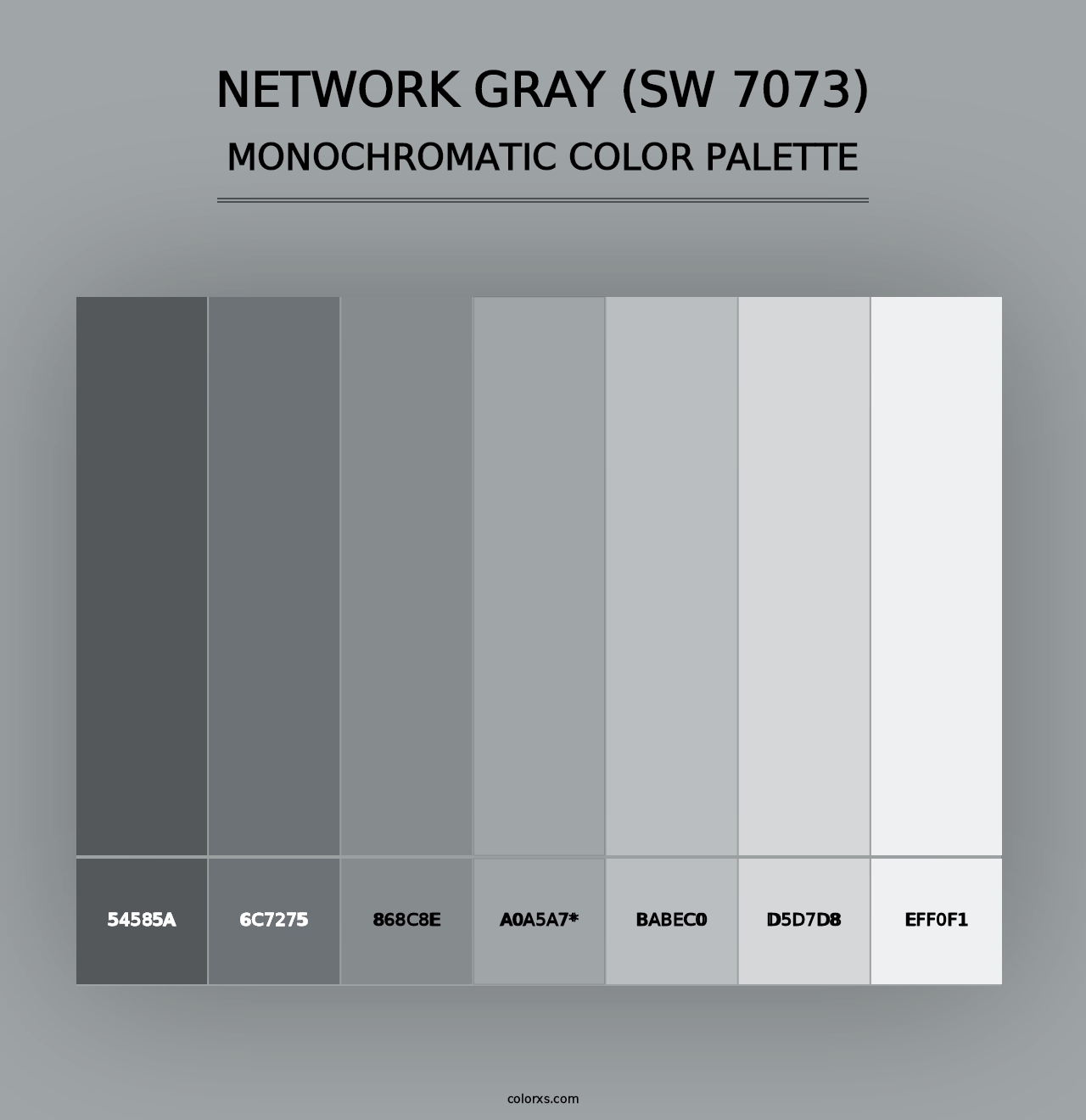 Network Gray (SW 7073) - Monochromatic Color Palette