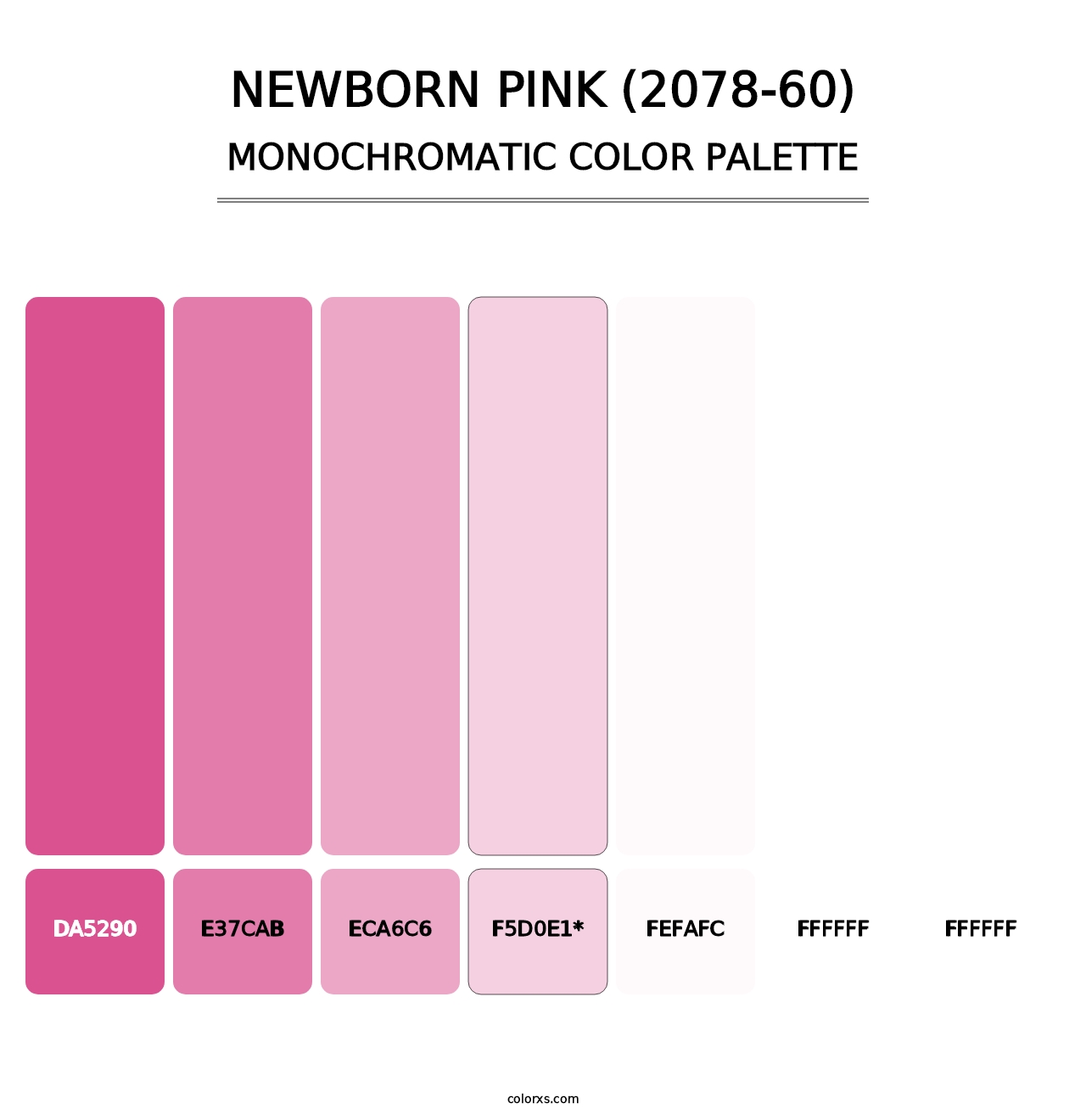 Newborn Pink (2078-60) - Monochromatic Color Palette