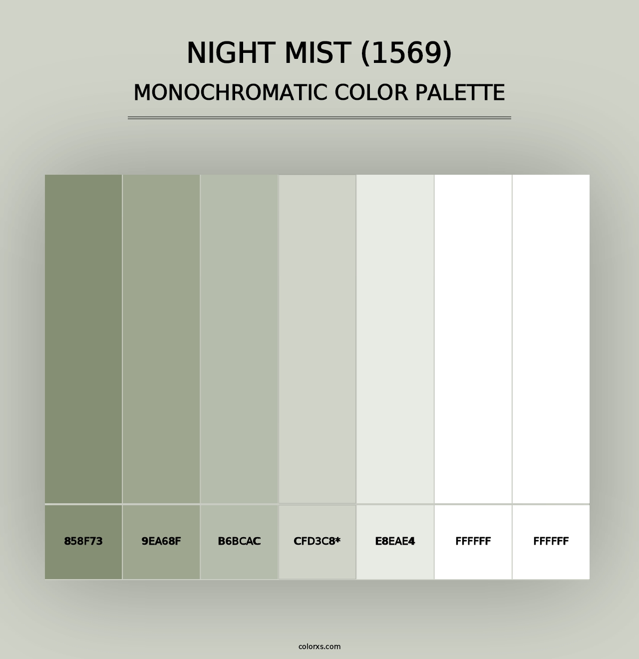 Night Mist (1569) - Monochromatic Color Palette